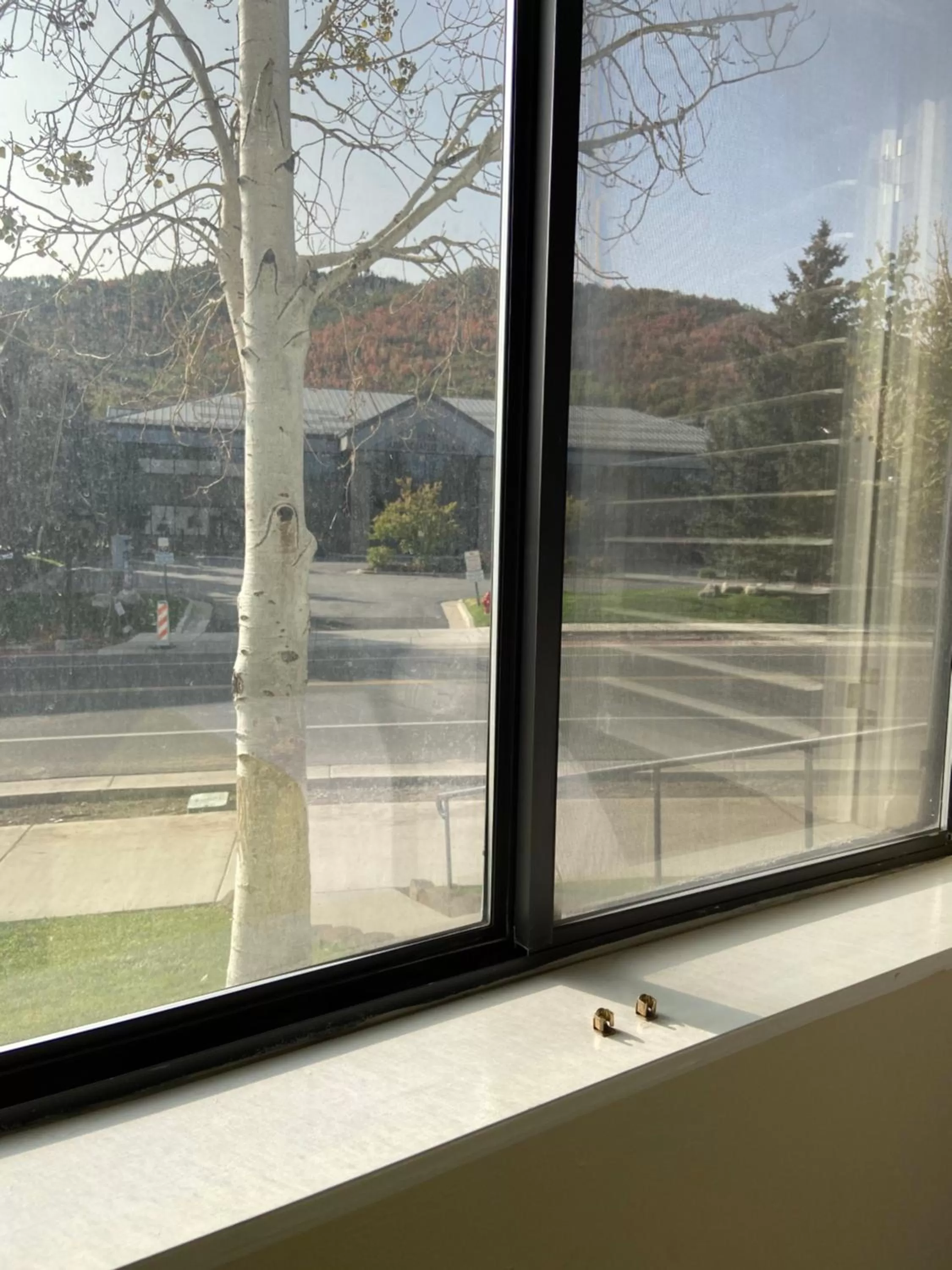 Garden view in GetAways at Park Regency Resort