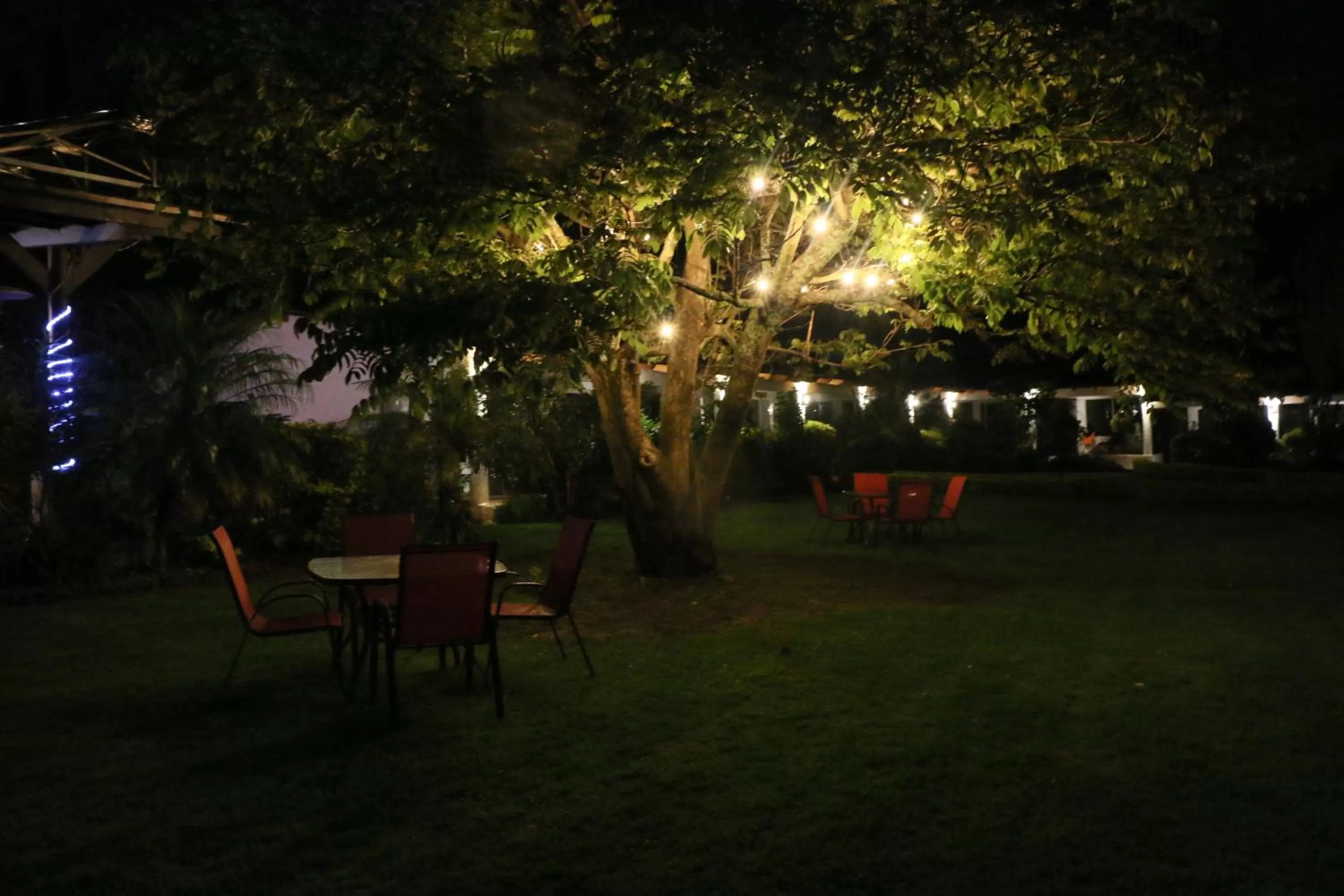 Night, Restaurant/Places to Eat in Posada La Presa