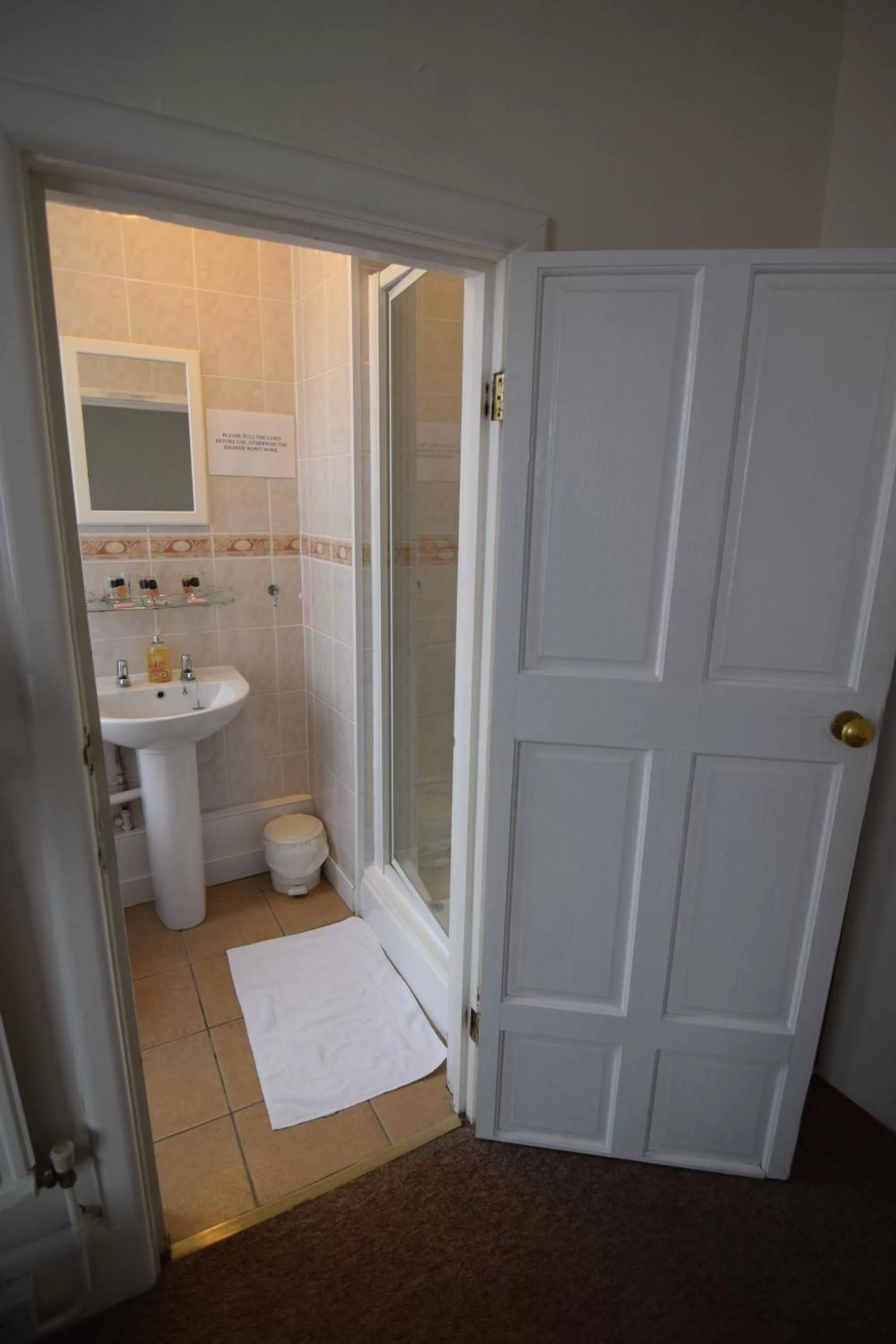 Shower, Bathroom in Castle Lodge