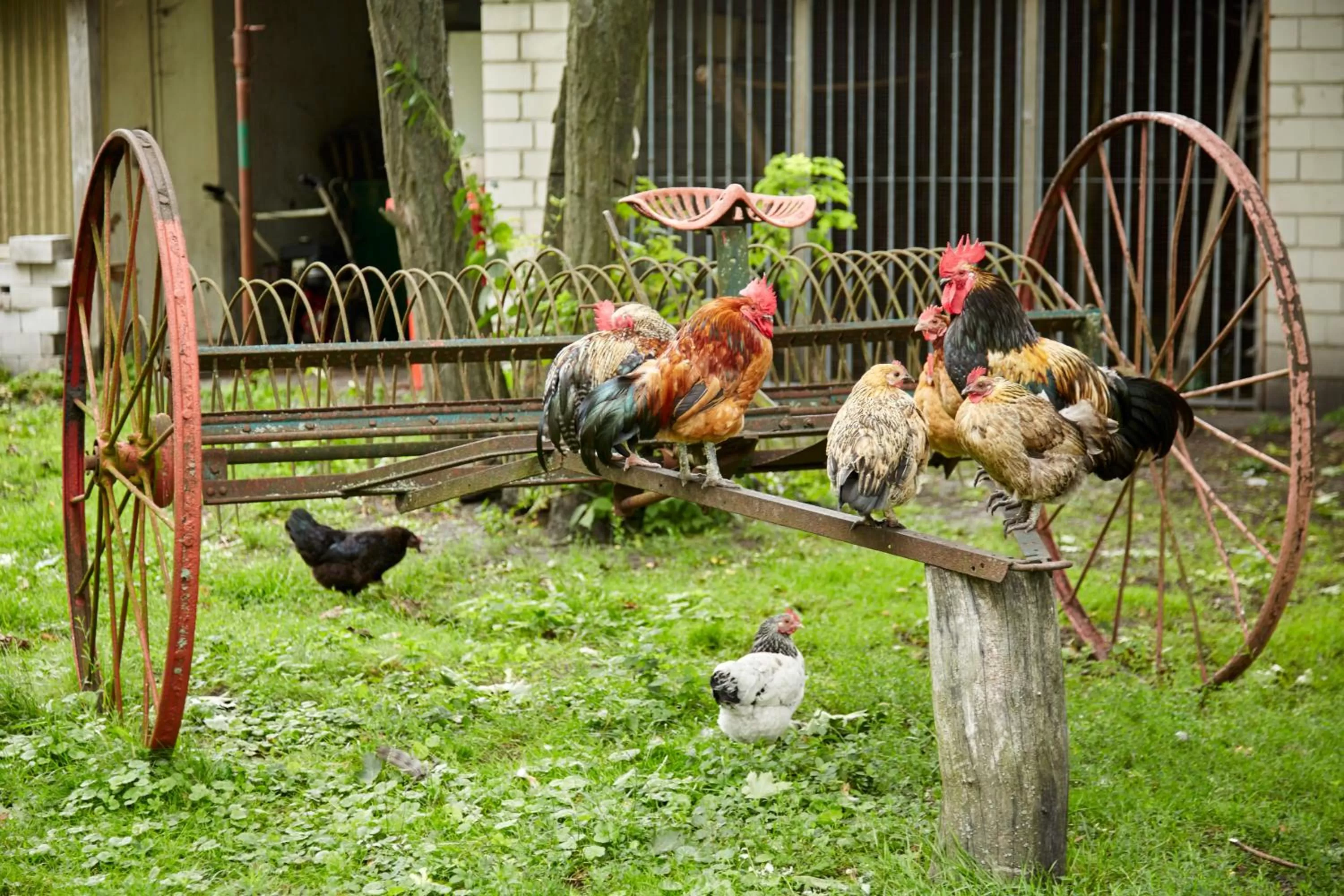 Day in Flair Hotel Reuner