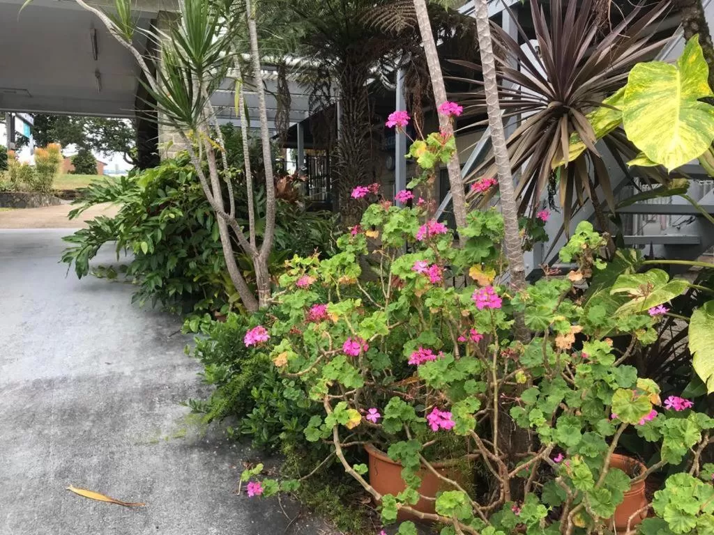 Coffs Shearwater Motel