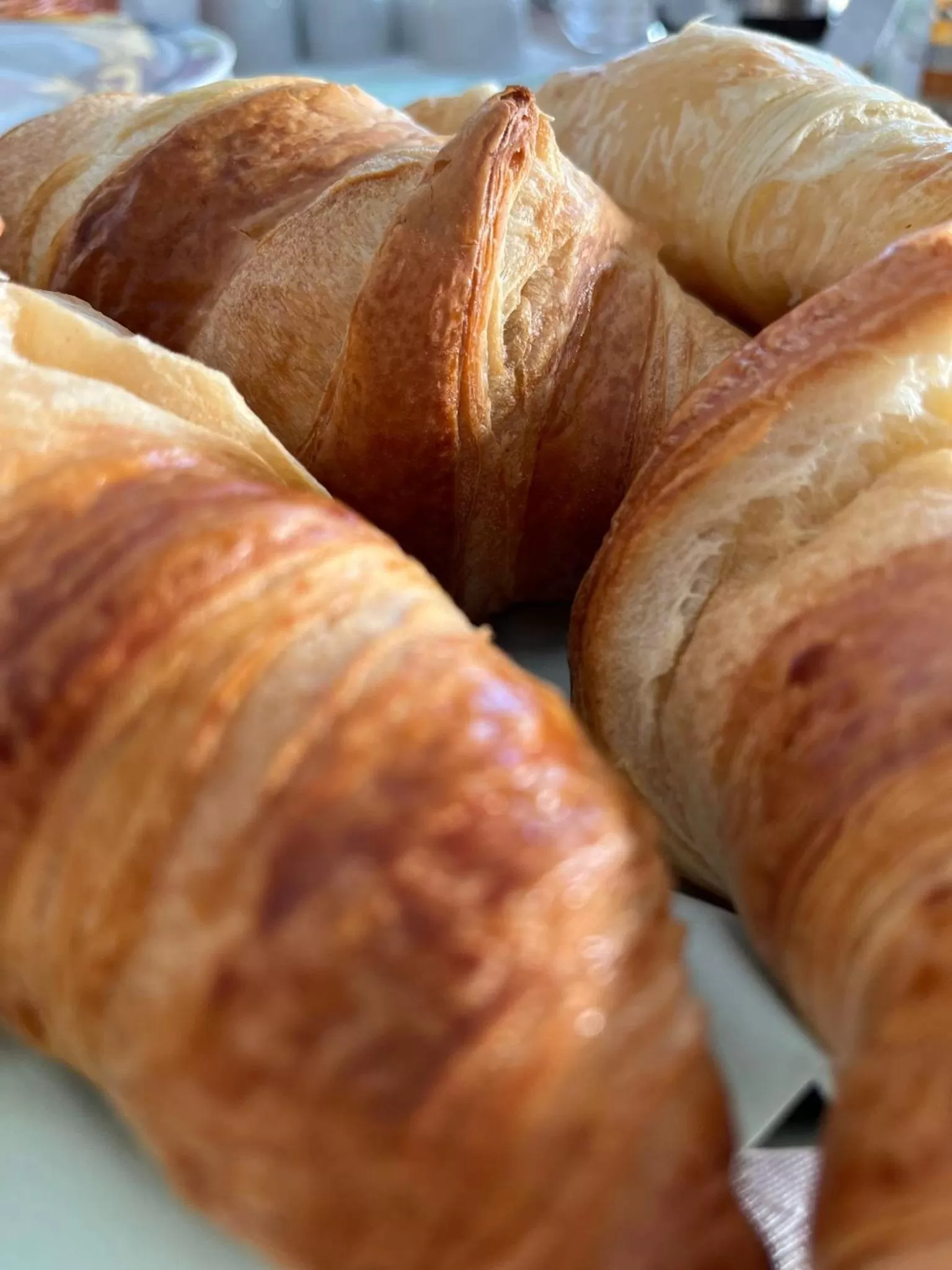 Breakfast, Food in Parkhotel Am Schwanenteich