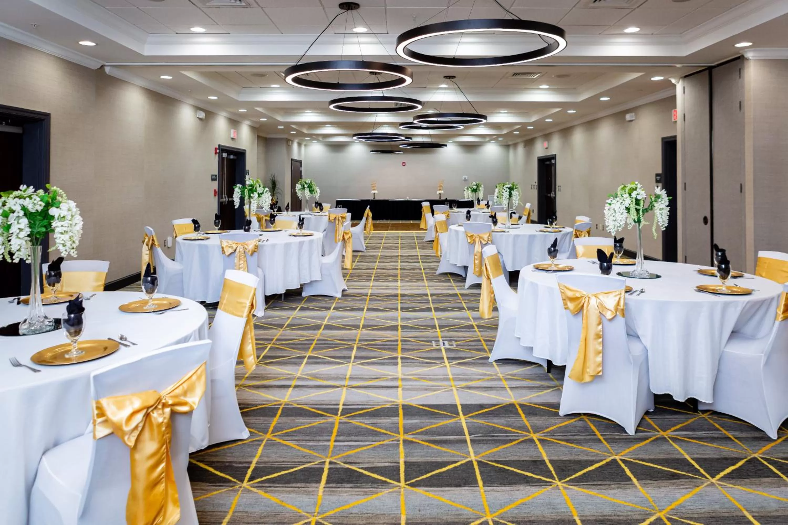 Banquet/Function facilities in Holiday Inn Statesboro-University Area by IHG
