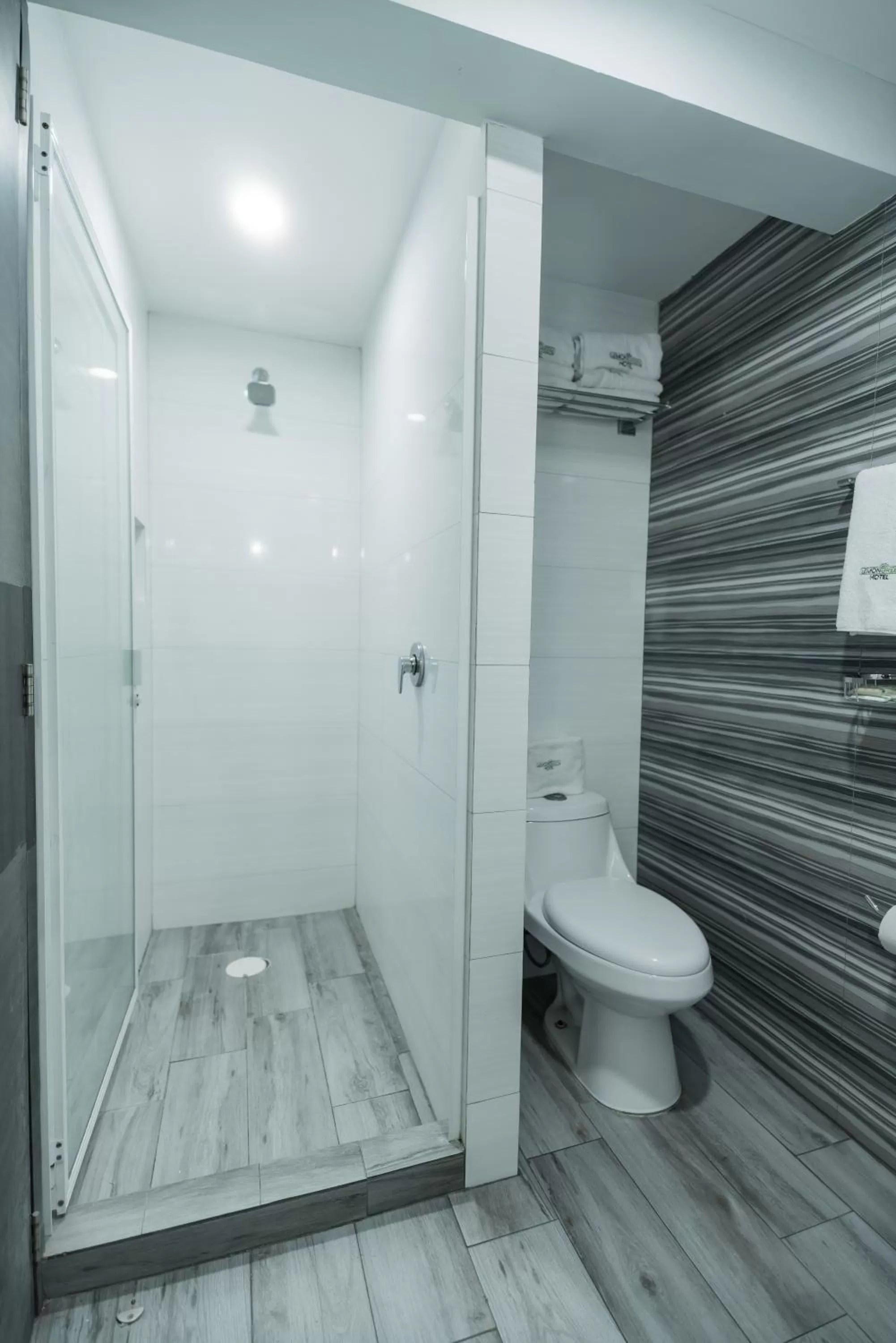 Bathroom in HOTEL LEMON GREEN -Zona Expo Frente al Centro de Convenciones