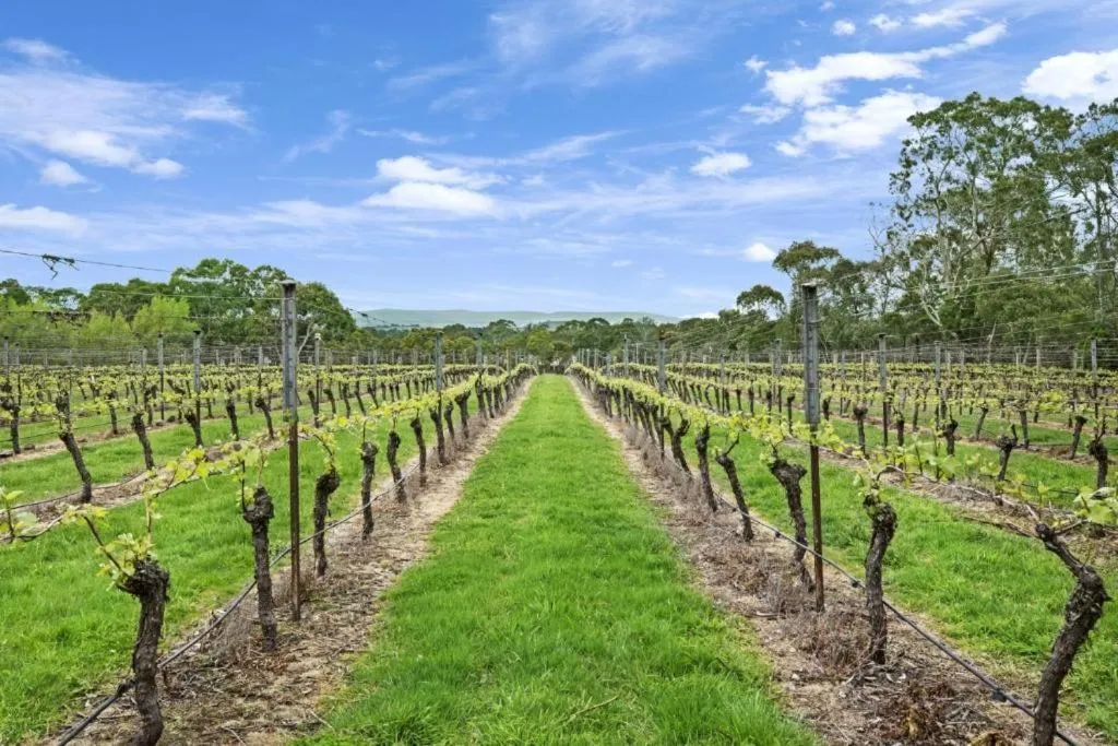 Gisborne Peak Winery Short Term Stays