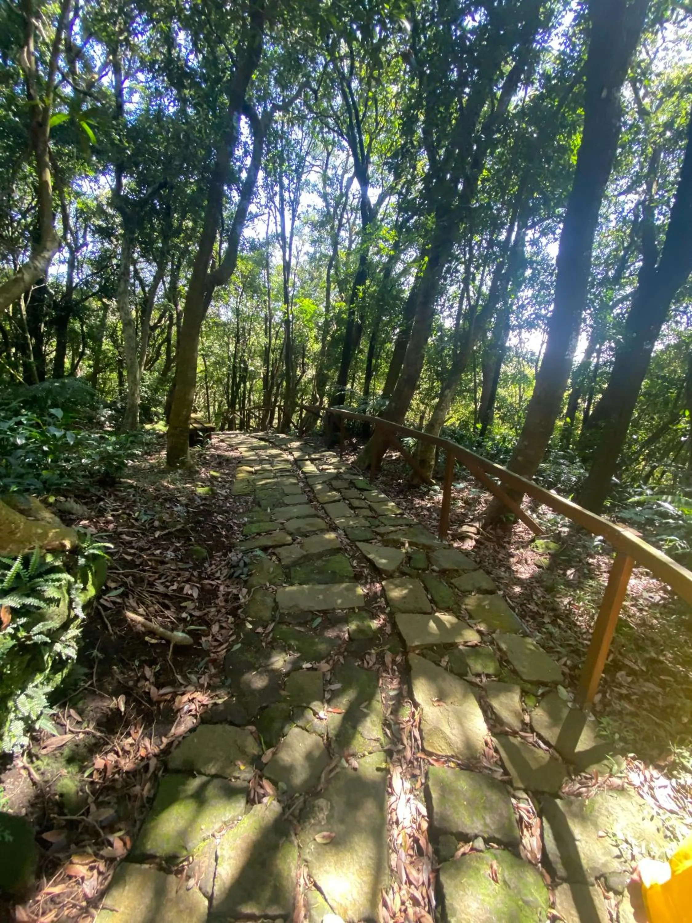 Natural landscape in Yanmin Hot Spring Resort