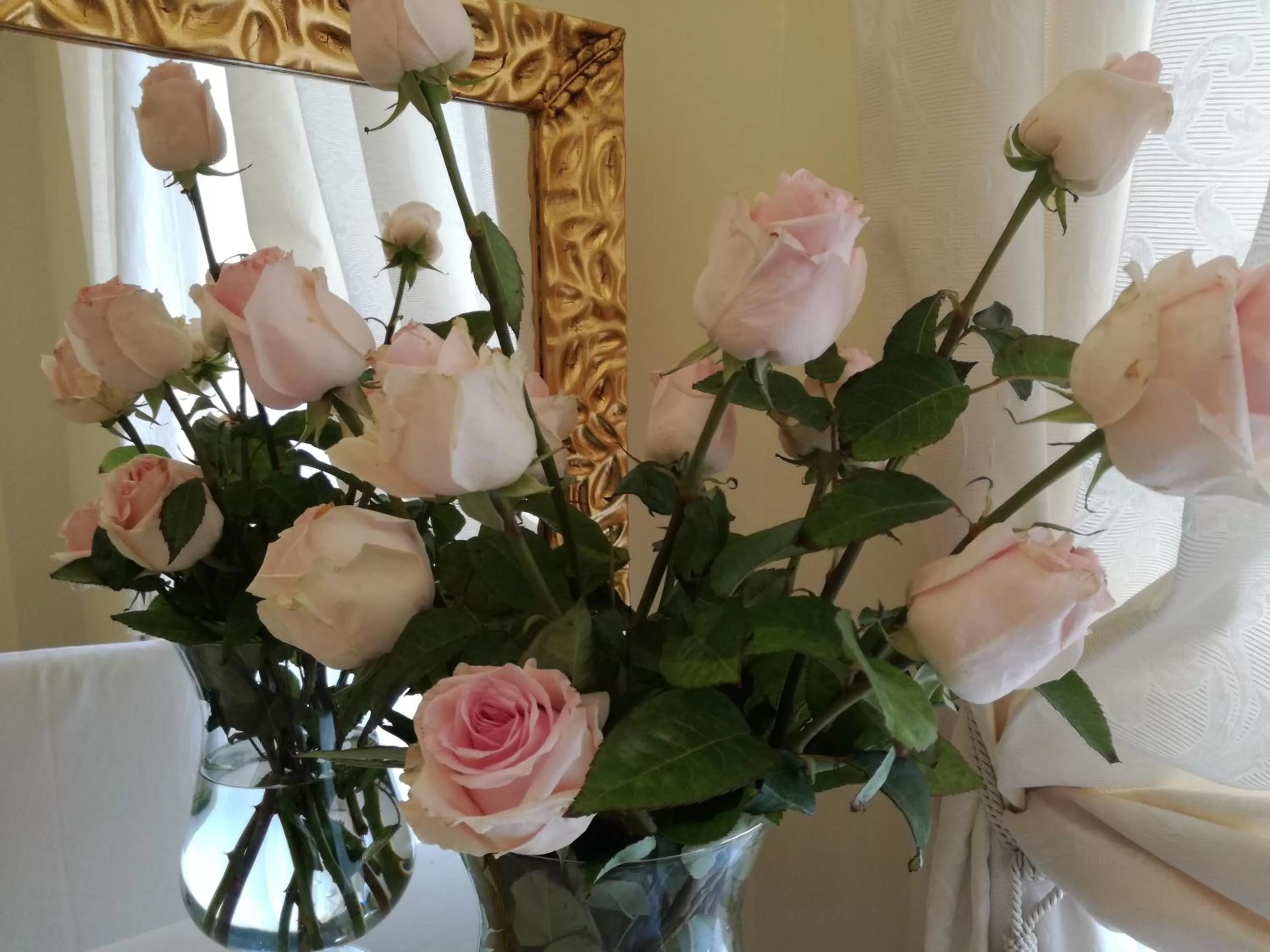 Summer in Casa del Corso