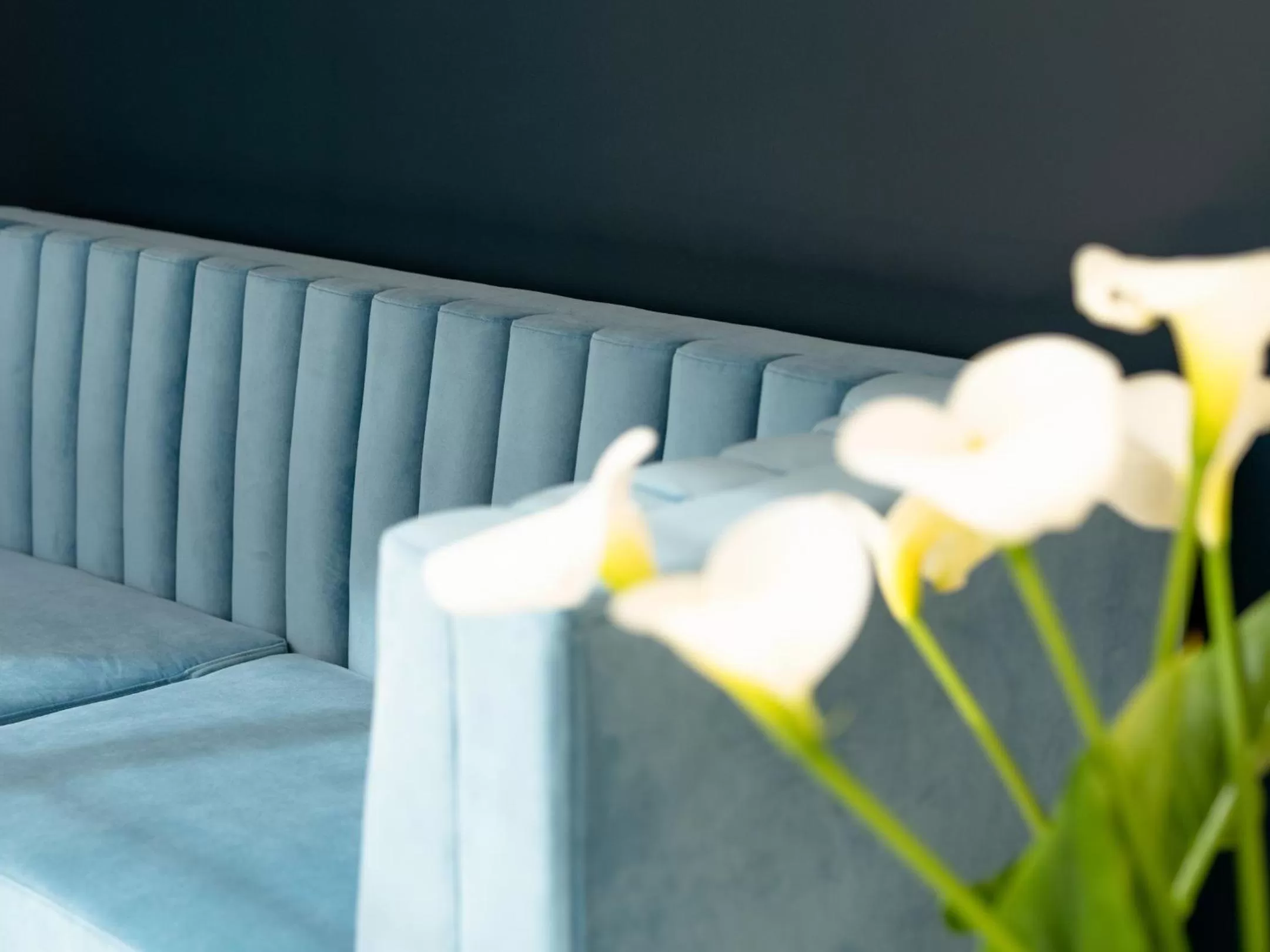 Lounge or bar in Hotel Mercure Roscoff Bord De Mer