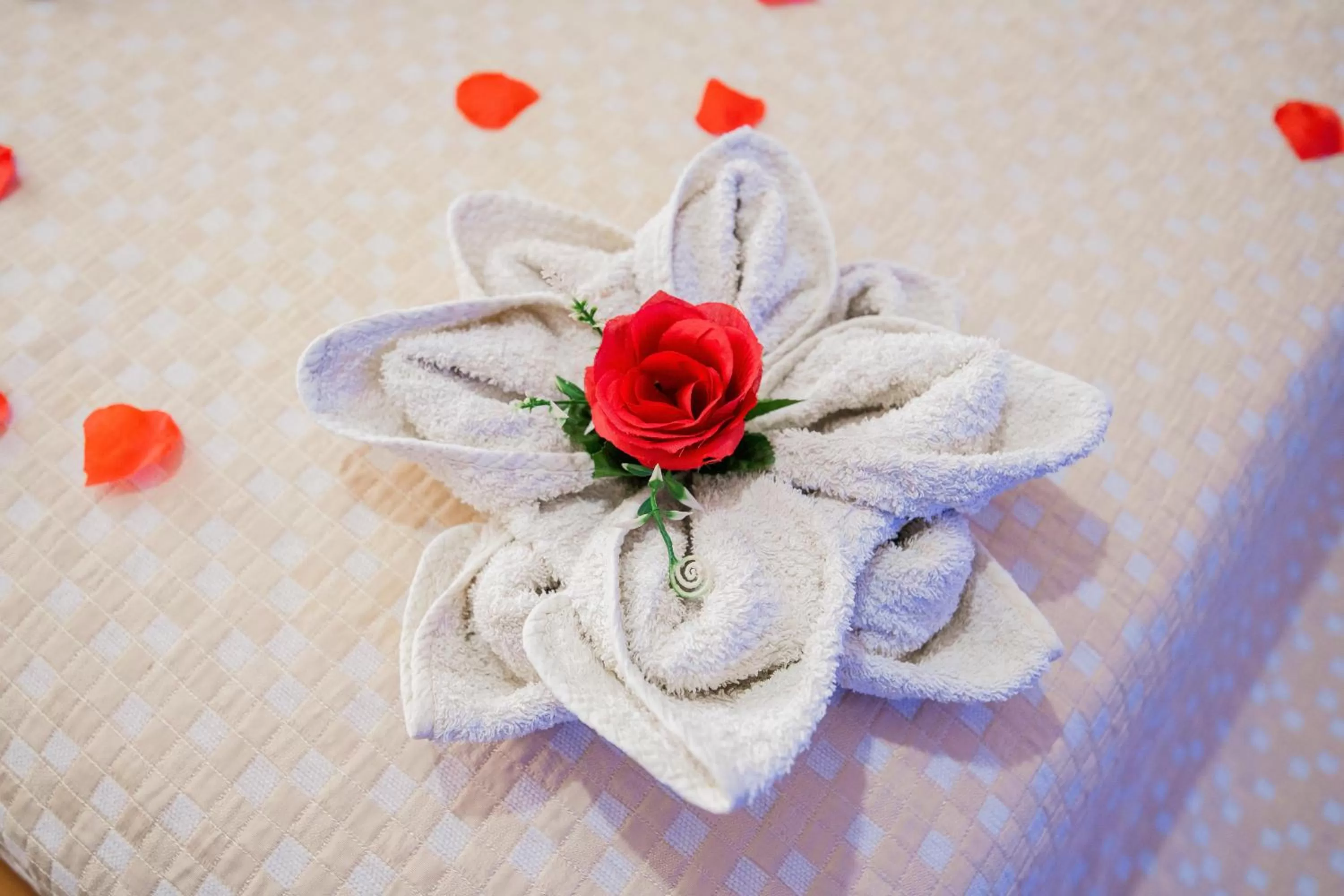 towels in Le suite del nostromo