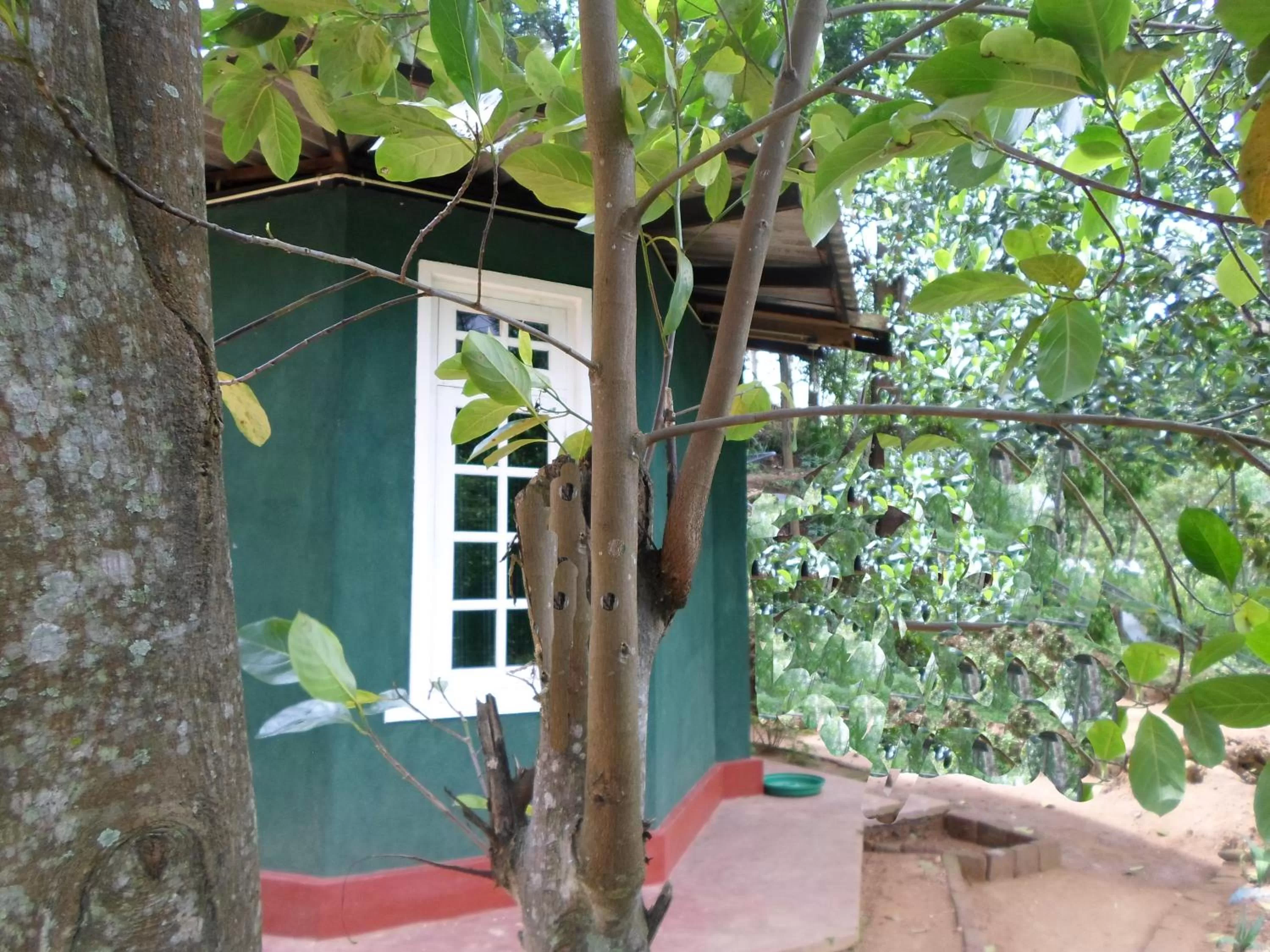 Day in Green Lantern