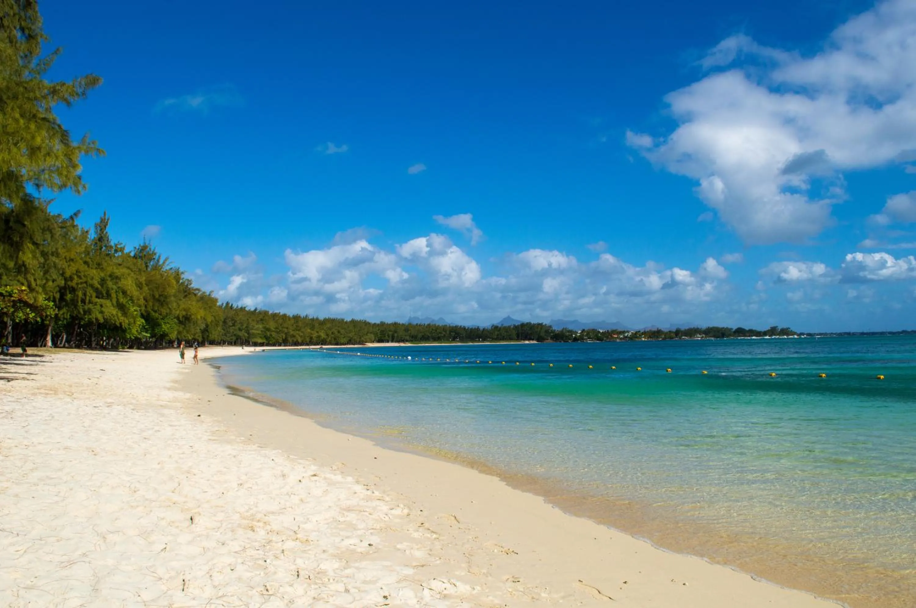 Nearby landmark in Flowers of Paradise