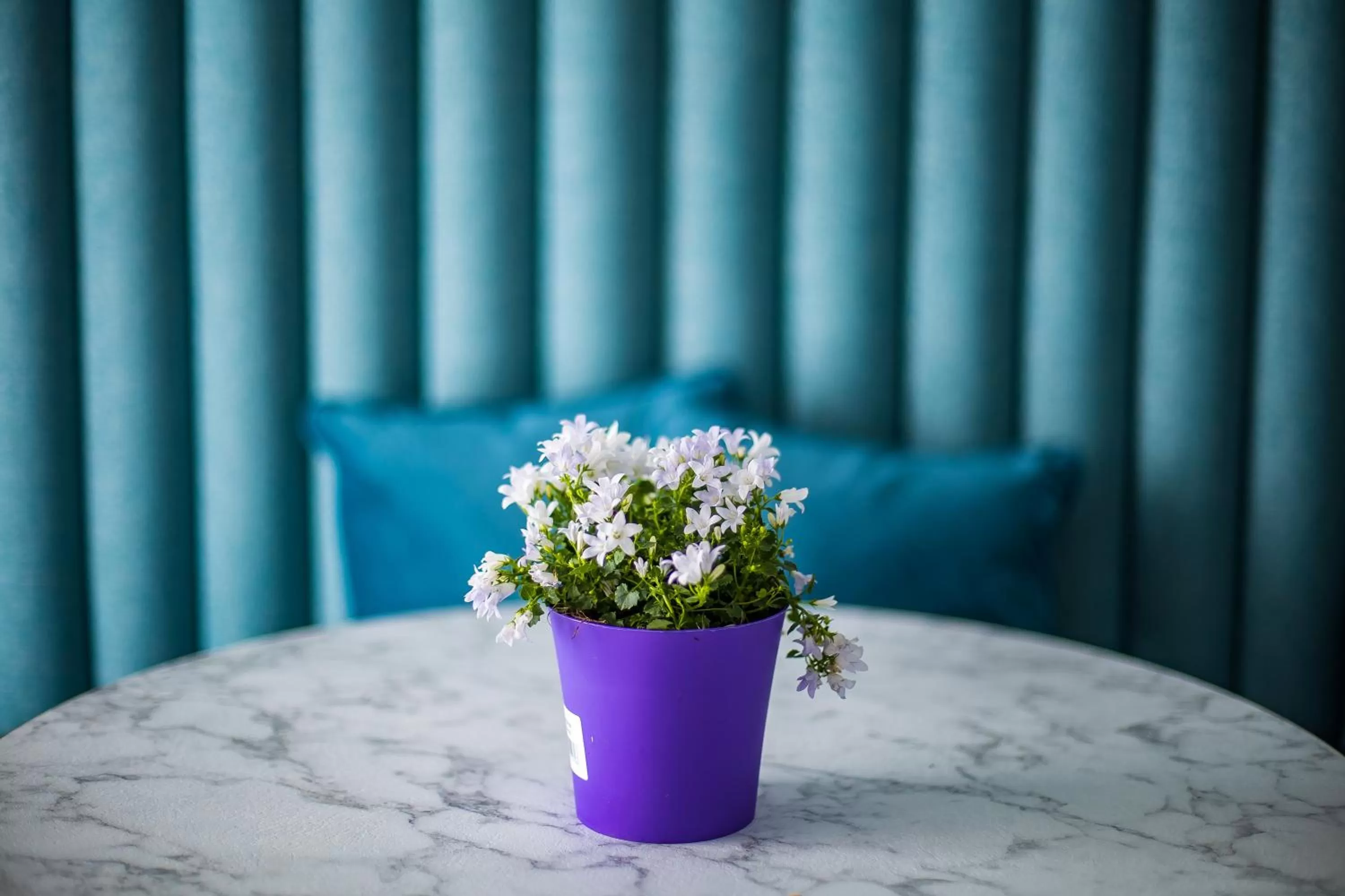 Breakfast in Hold Rome - Luxury Suites