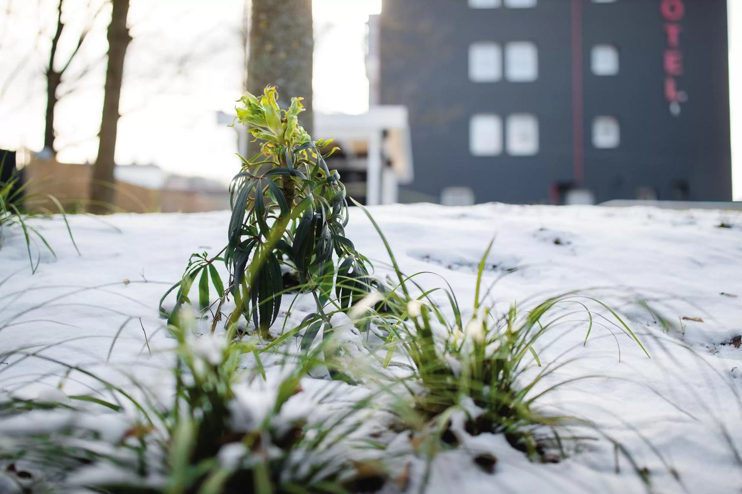 Winter in Centro Hotel U-NO 1