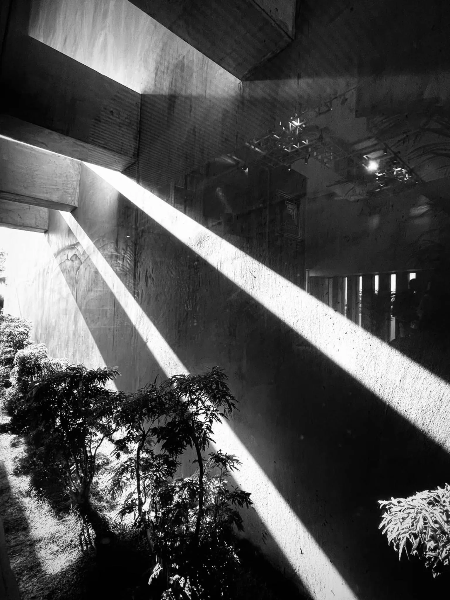 On site in FFF Hotel