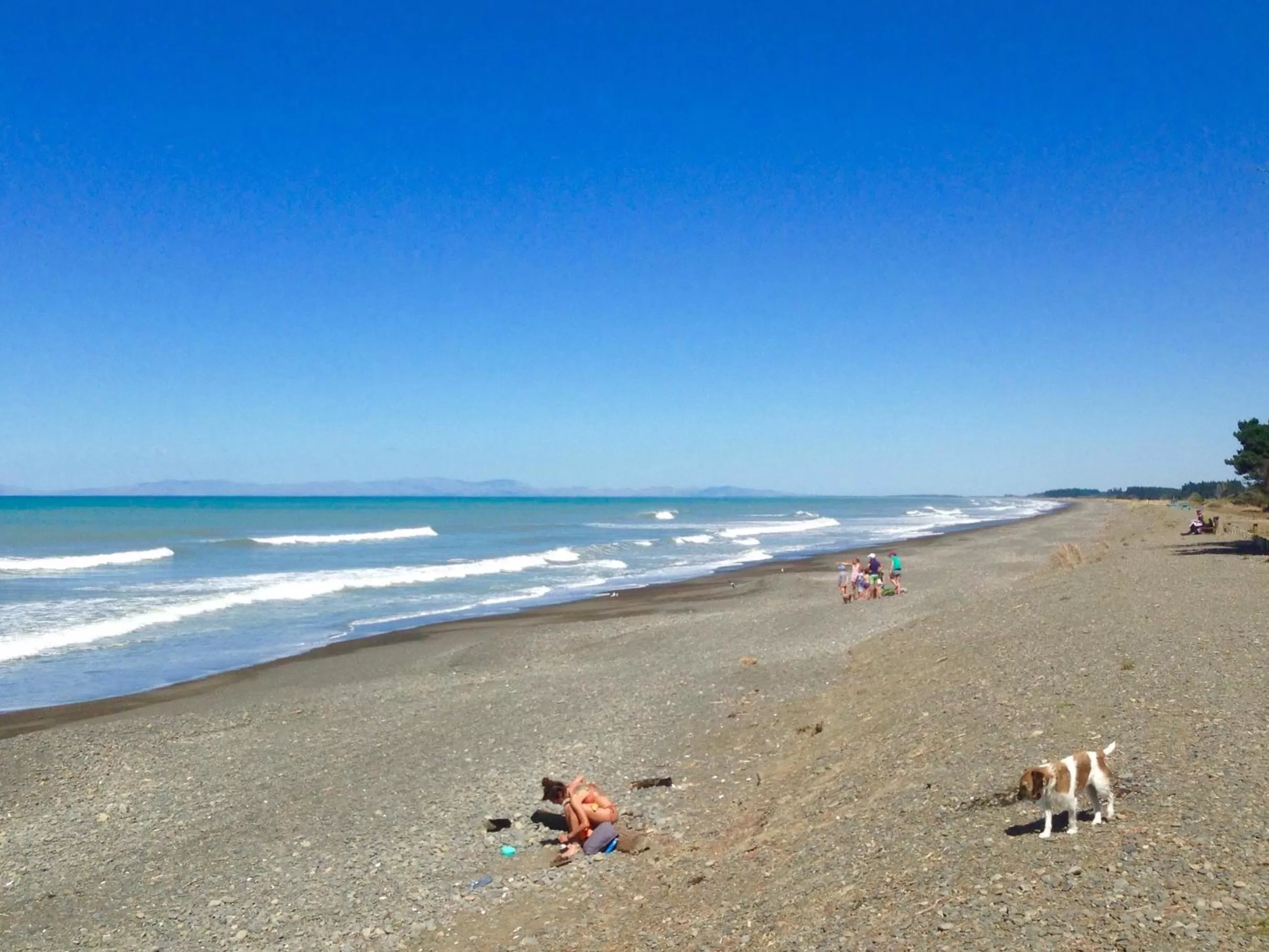 Beach in Teviot View Accommodation