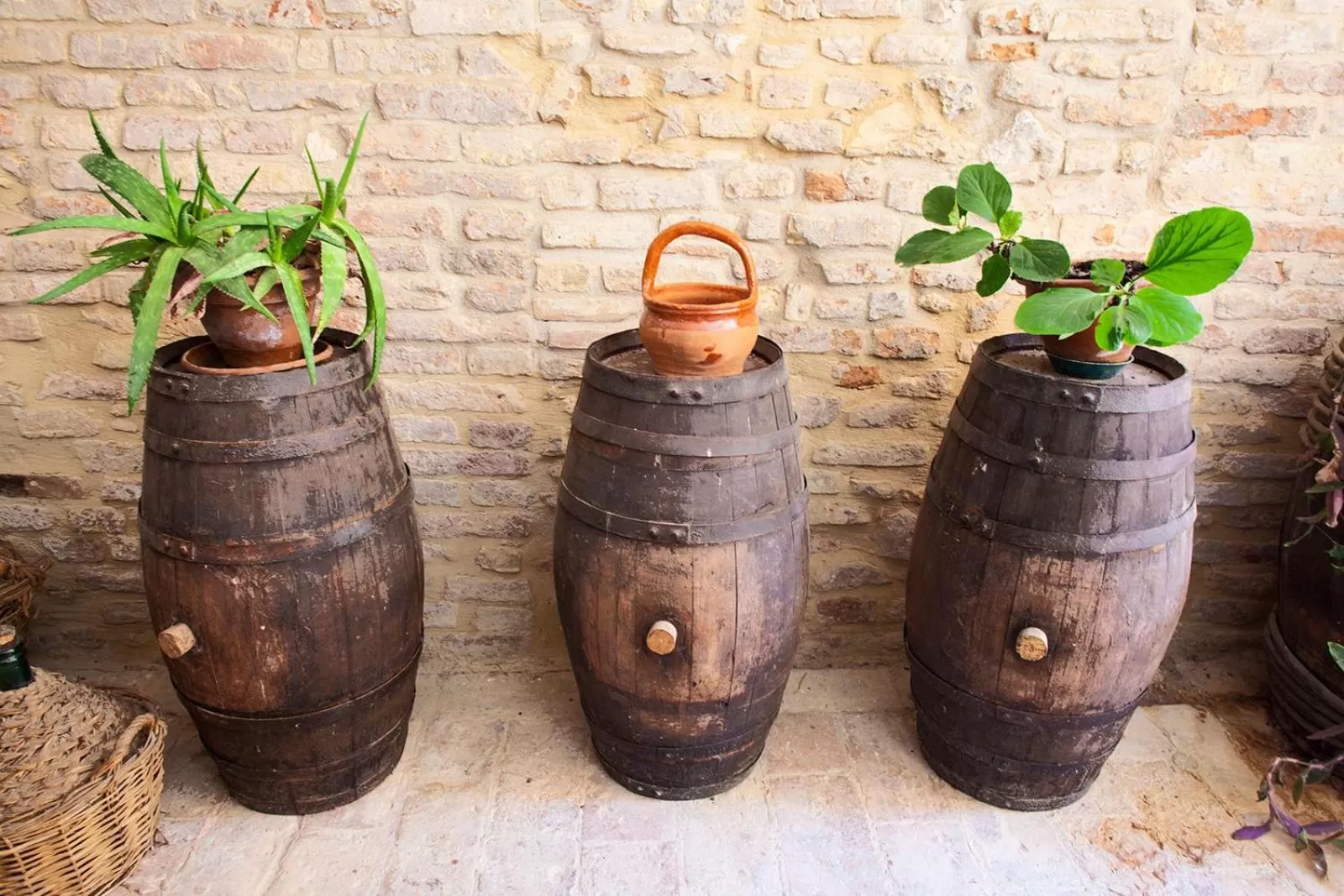Patio in Residenza D'Epoca Palazzo Buonaccorsi