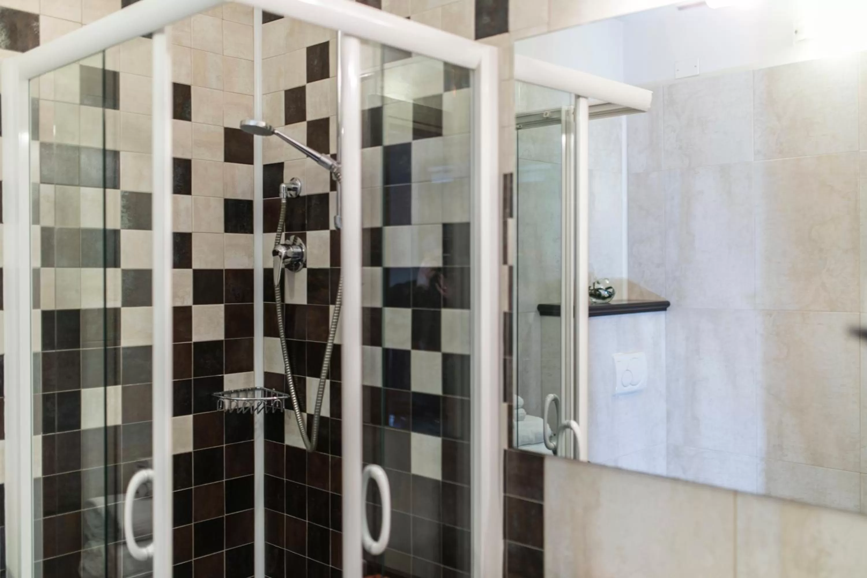 Shower in Hotel Donatello Imola