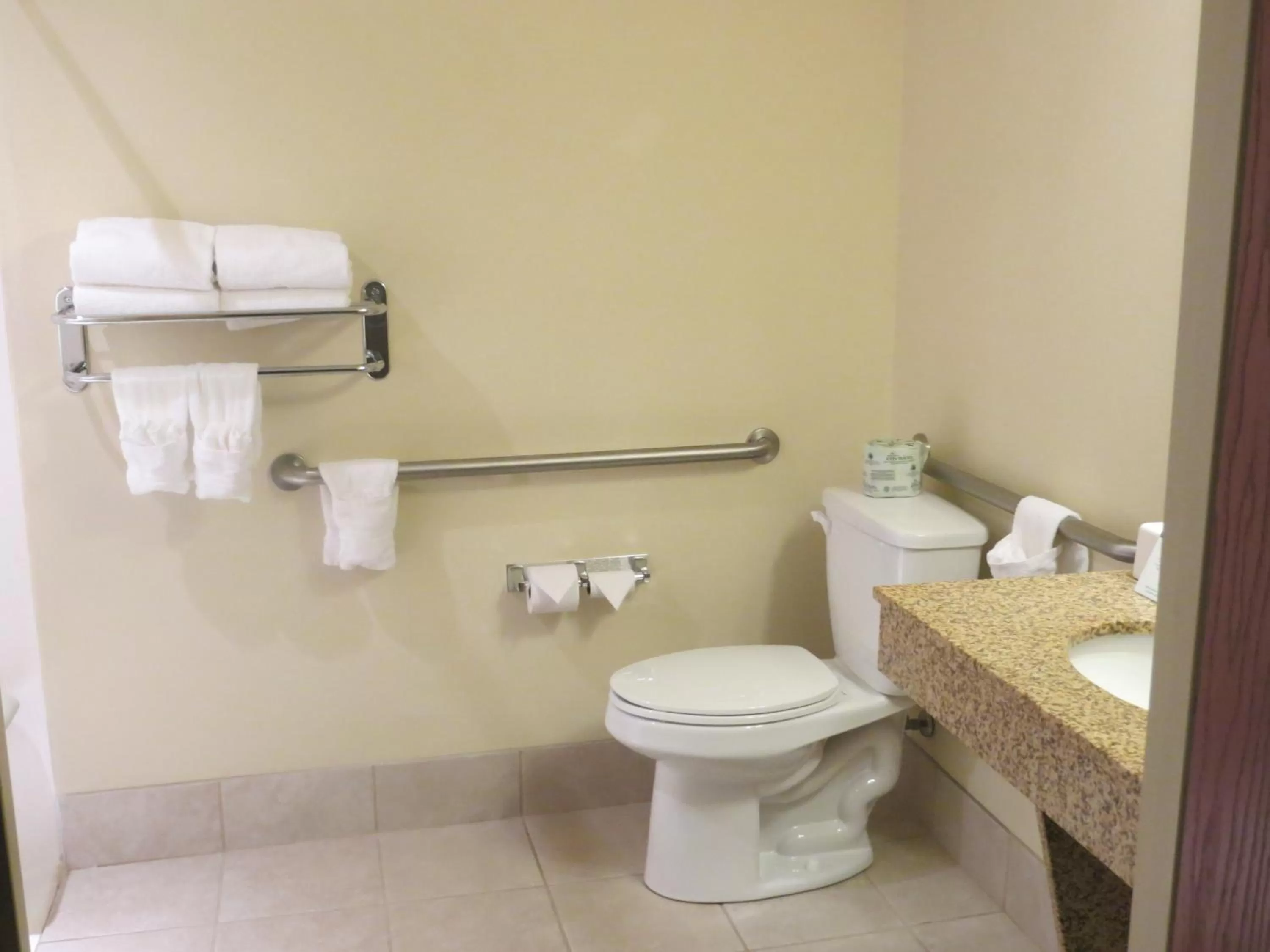 Toilet in Cobblestone Inn & Suites - Brillion