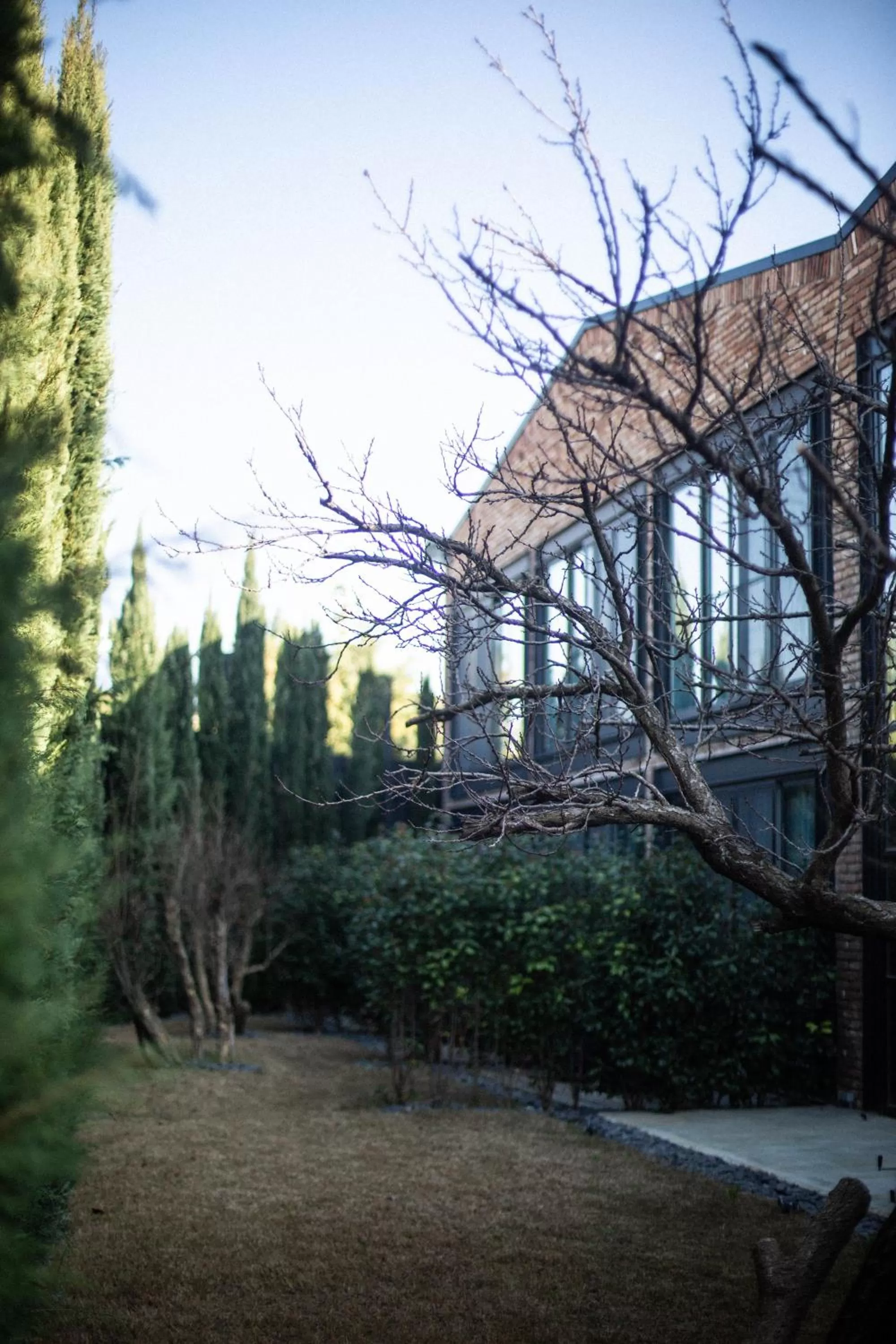 Garden view in Warehouse By The Stay