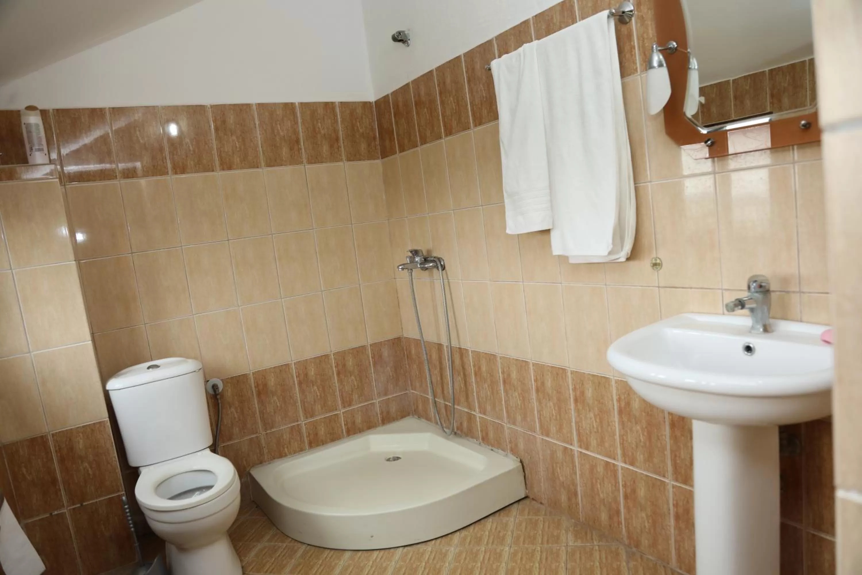 Bathroom in Hotel Villa Kabashi