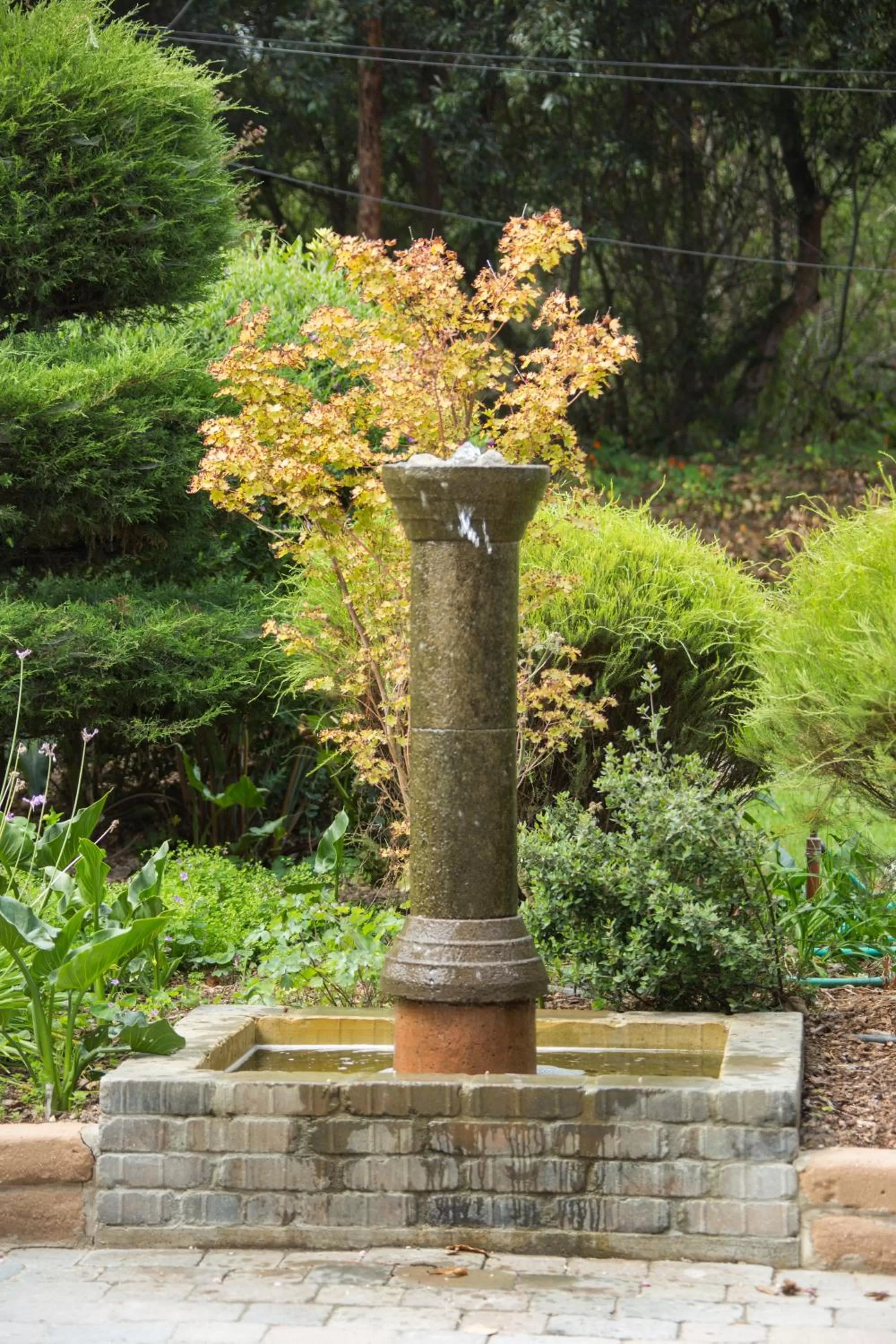 Garden in Carmel River Inn & Cottages