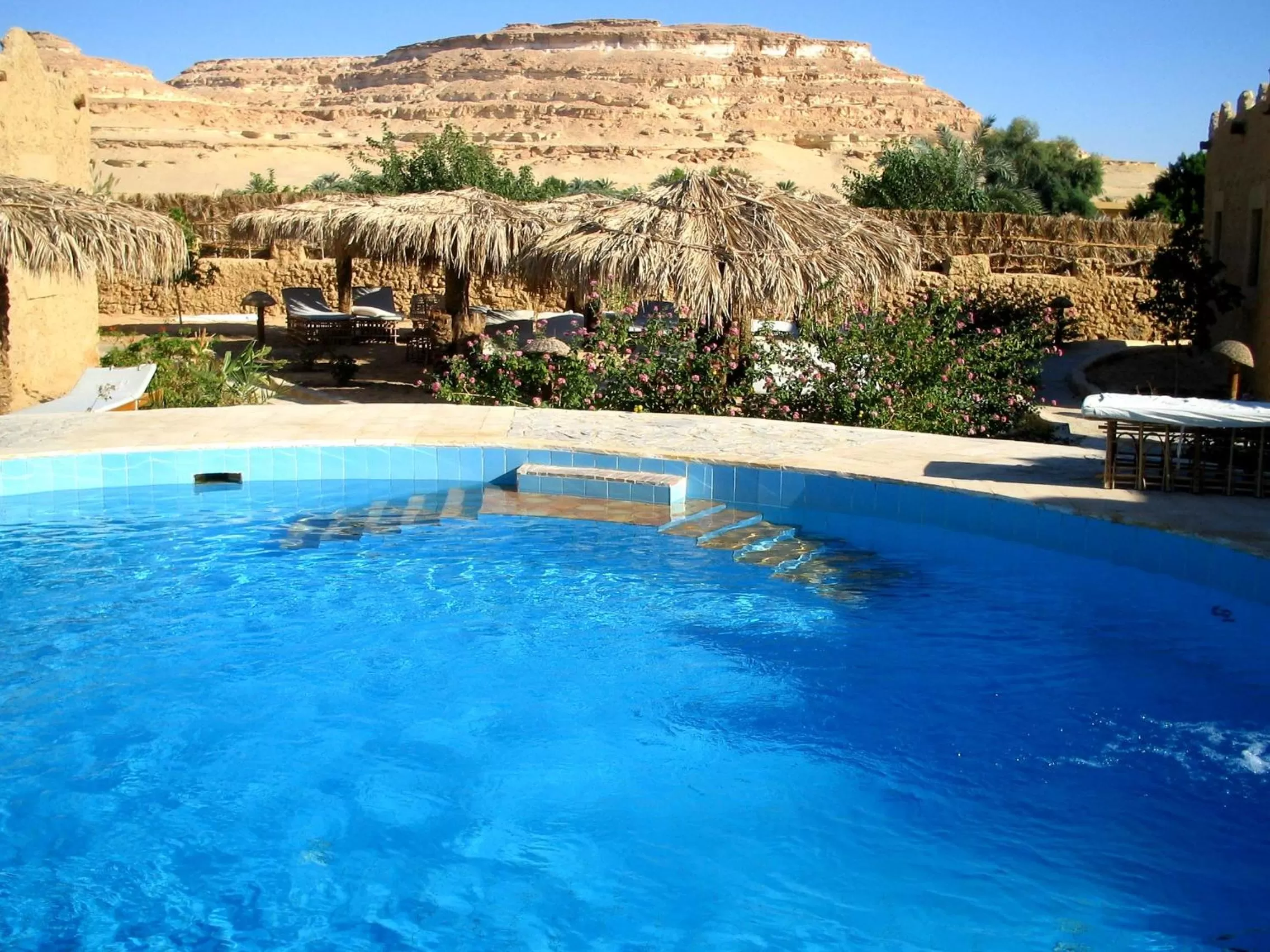 Swimming pool in Siwa Shali Resort