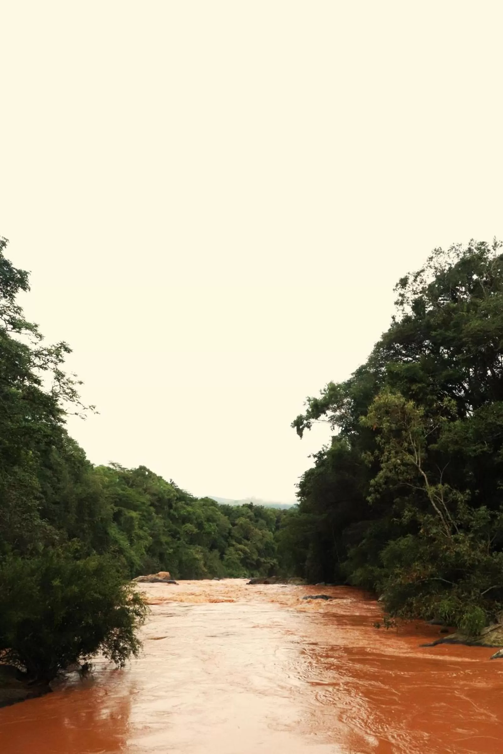 Natural landscape in Pousada Santa Thereza