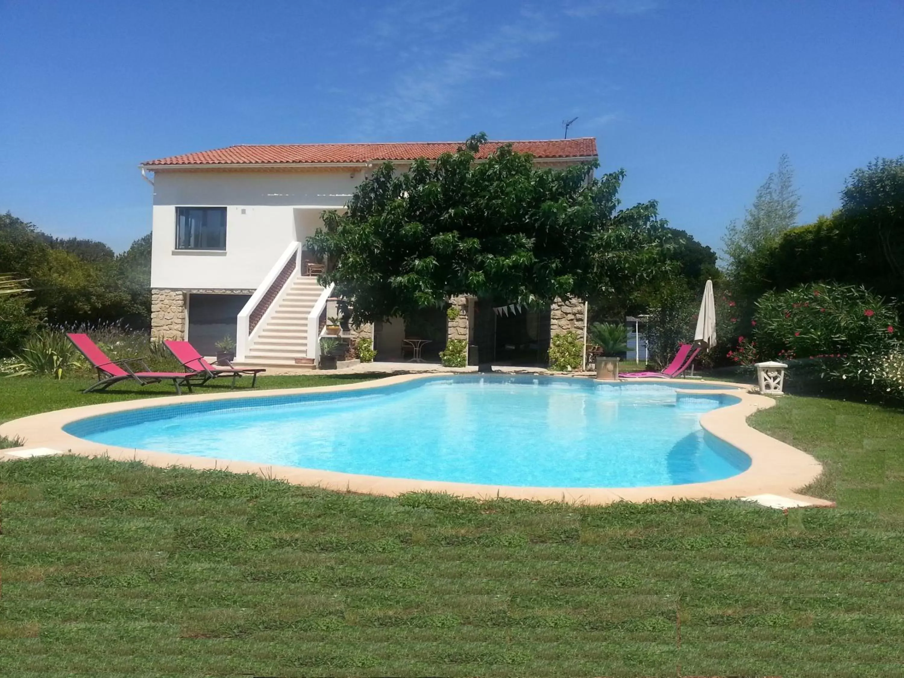 Sous le mûrier Sous le mûrier