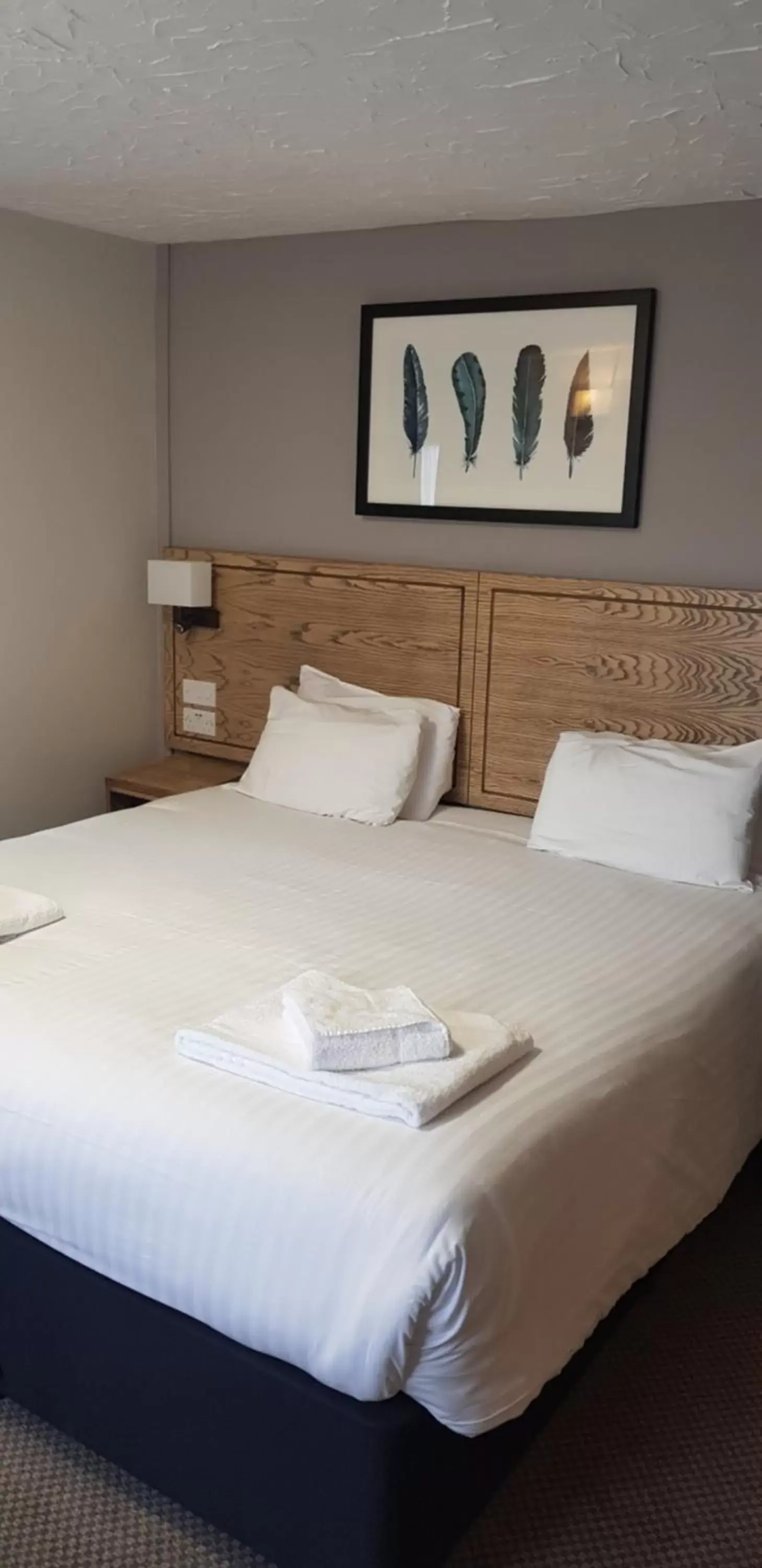 Standard Double Room in Waterloo Cross, Devon by Marston's Inns Standard Double Room in Waterloo Cross, Devon by Marston's Inns