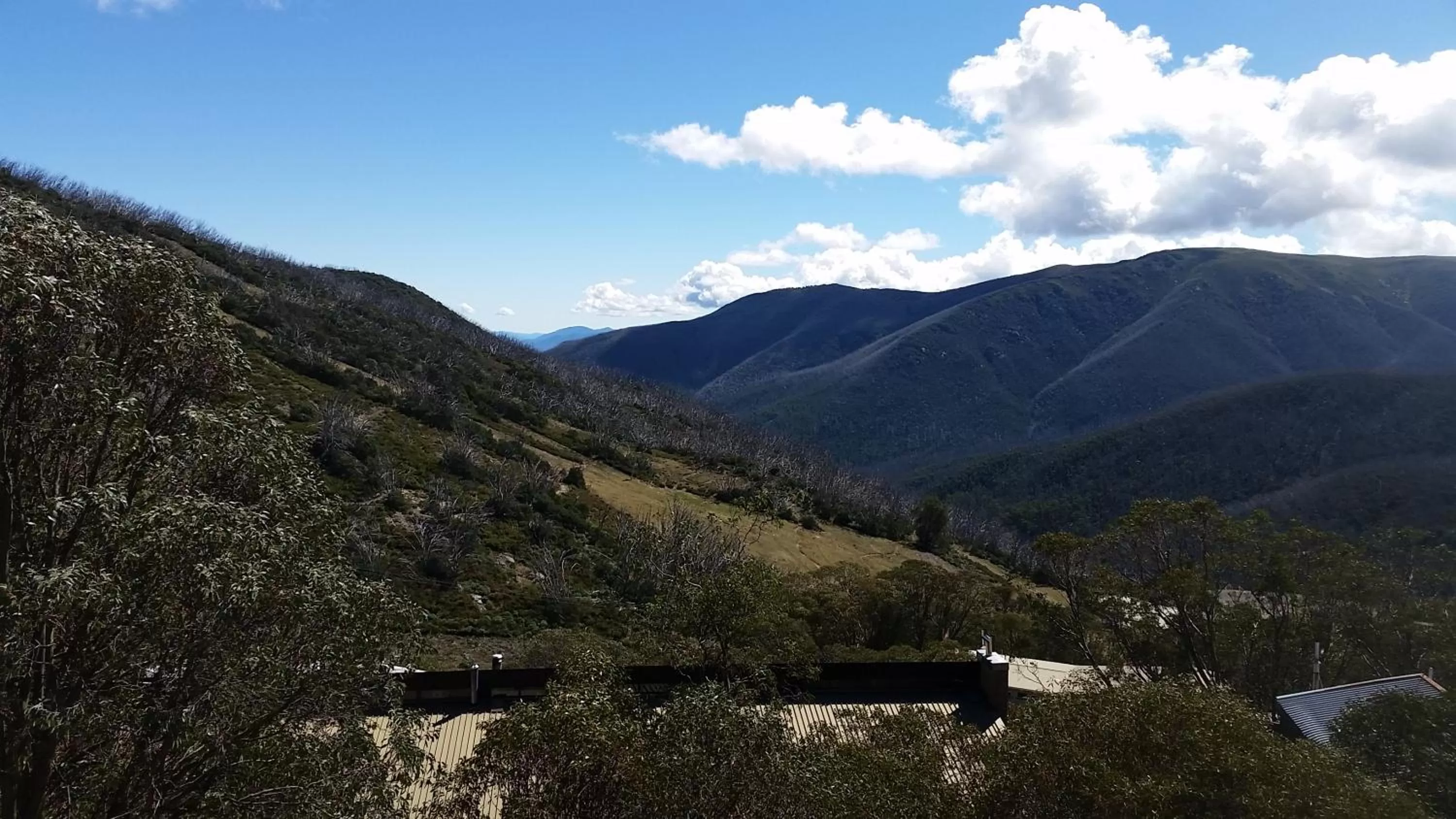 Summer in Cedarwood Apartments