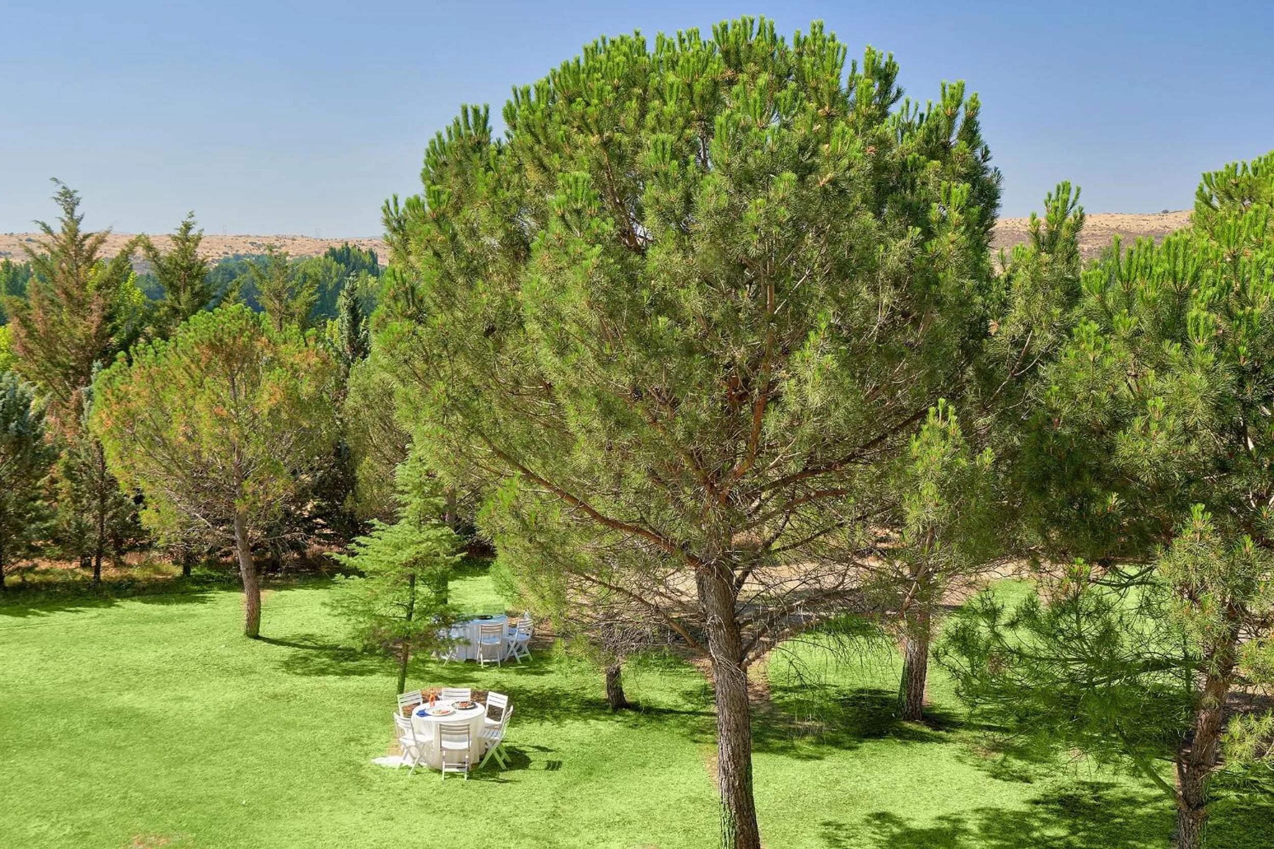 Garden in Hotel Fontecruz Ávila