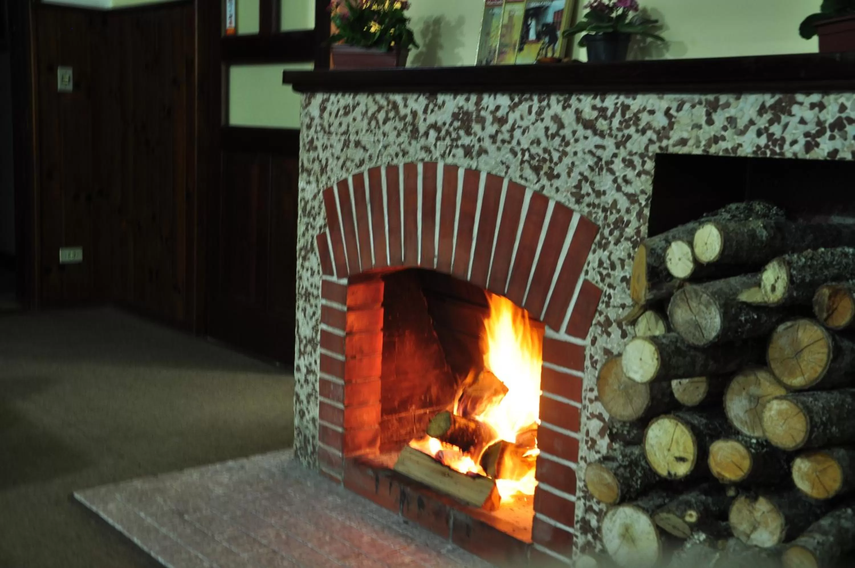 BBQ Facilities in Pousada Curumi