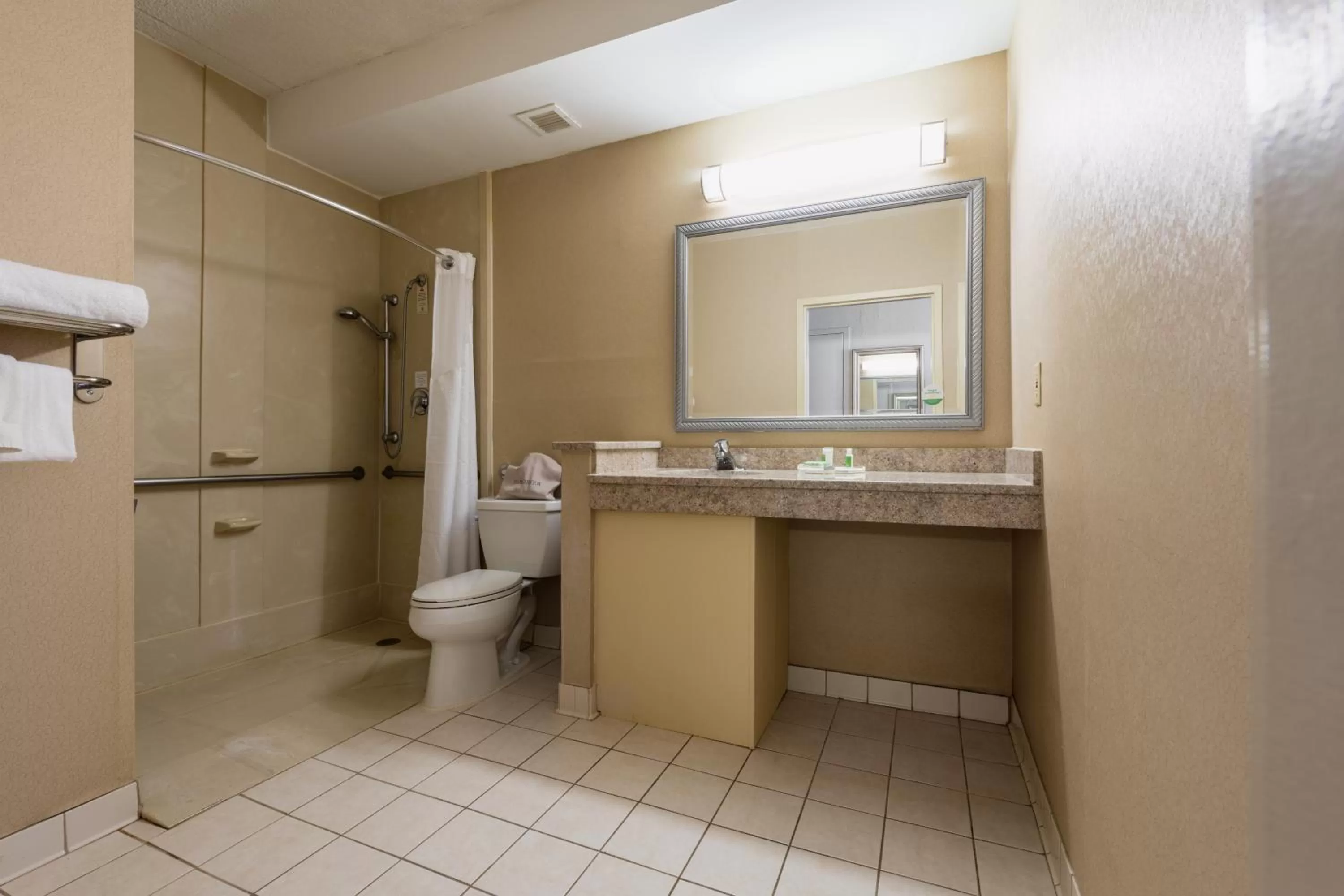 Queen Room - Disability Access in Holiday Inn South Plainfield-Piscataway by IHG