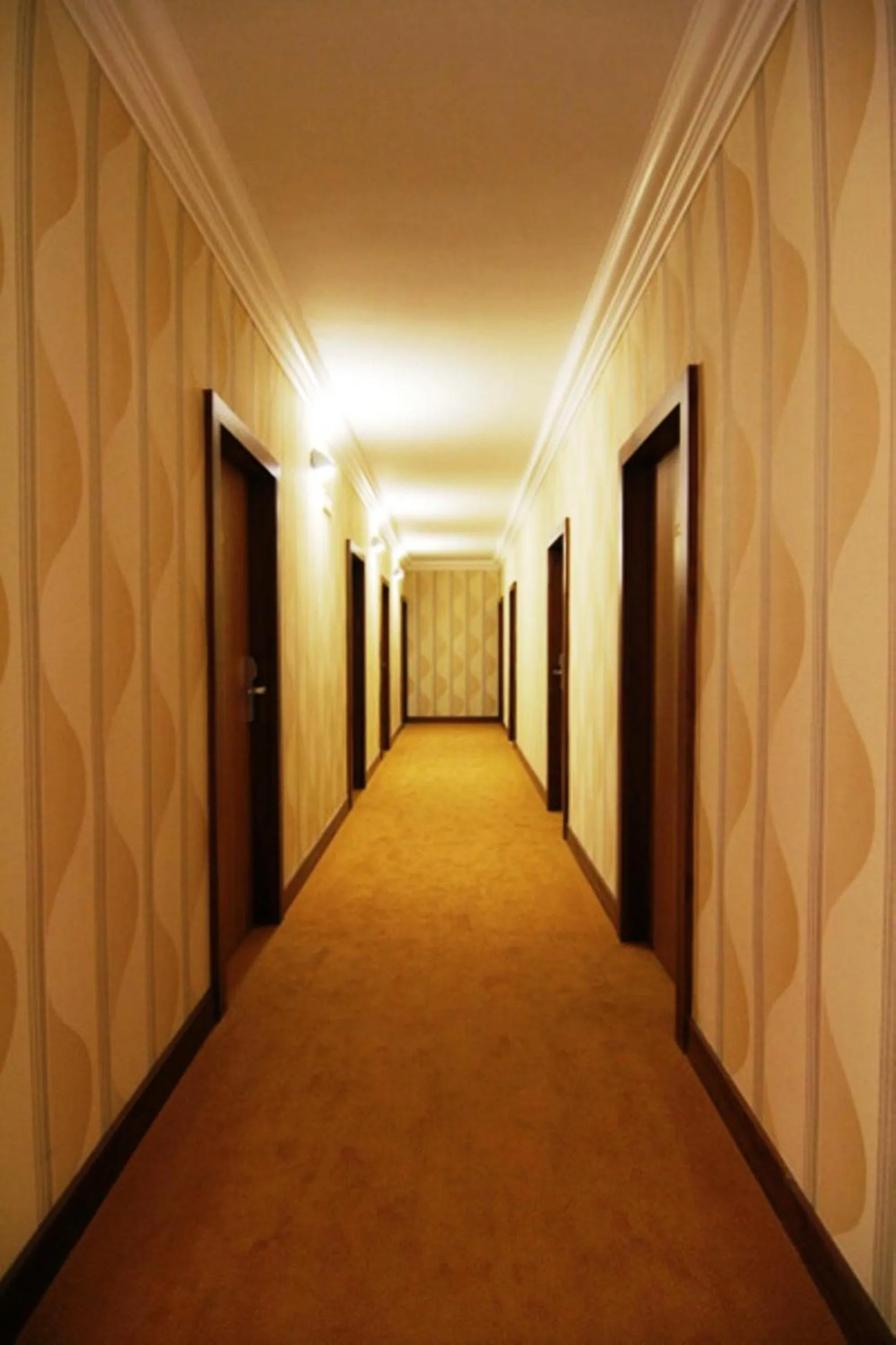 Area and facilities in Relax Inn