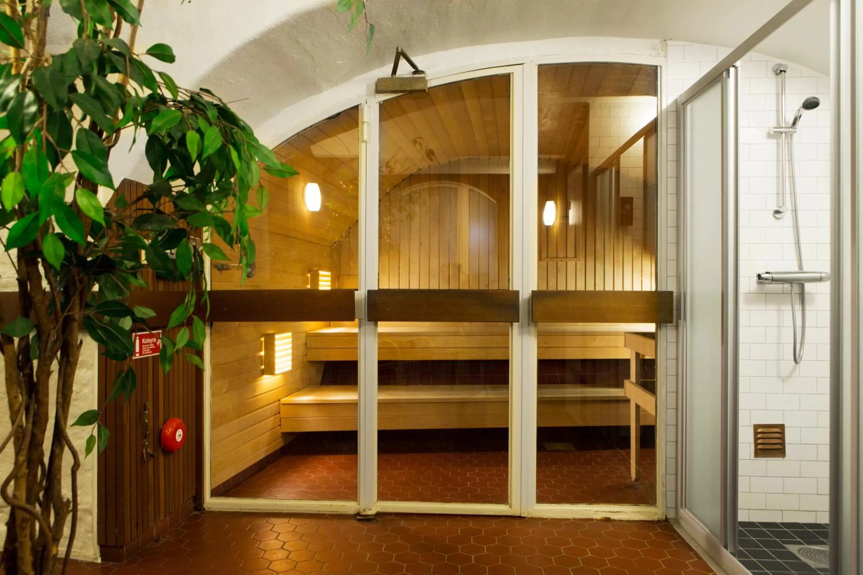 Sauna in Lady Hamilton Apartments