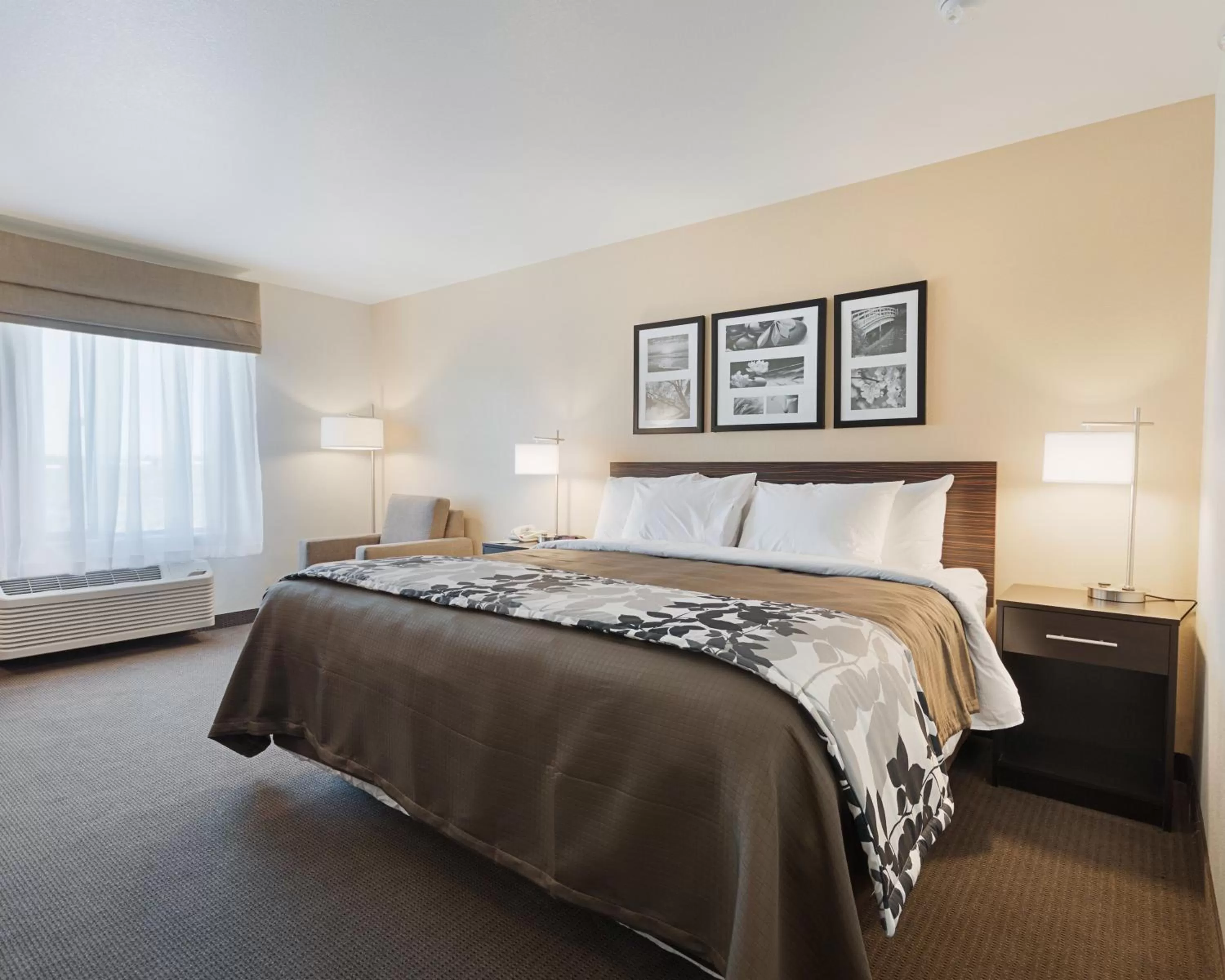 Day, Bed in Sleep Inn & Suites Carlsbad Caverns Area