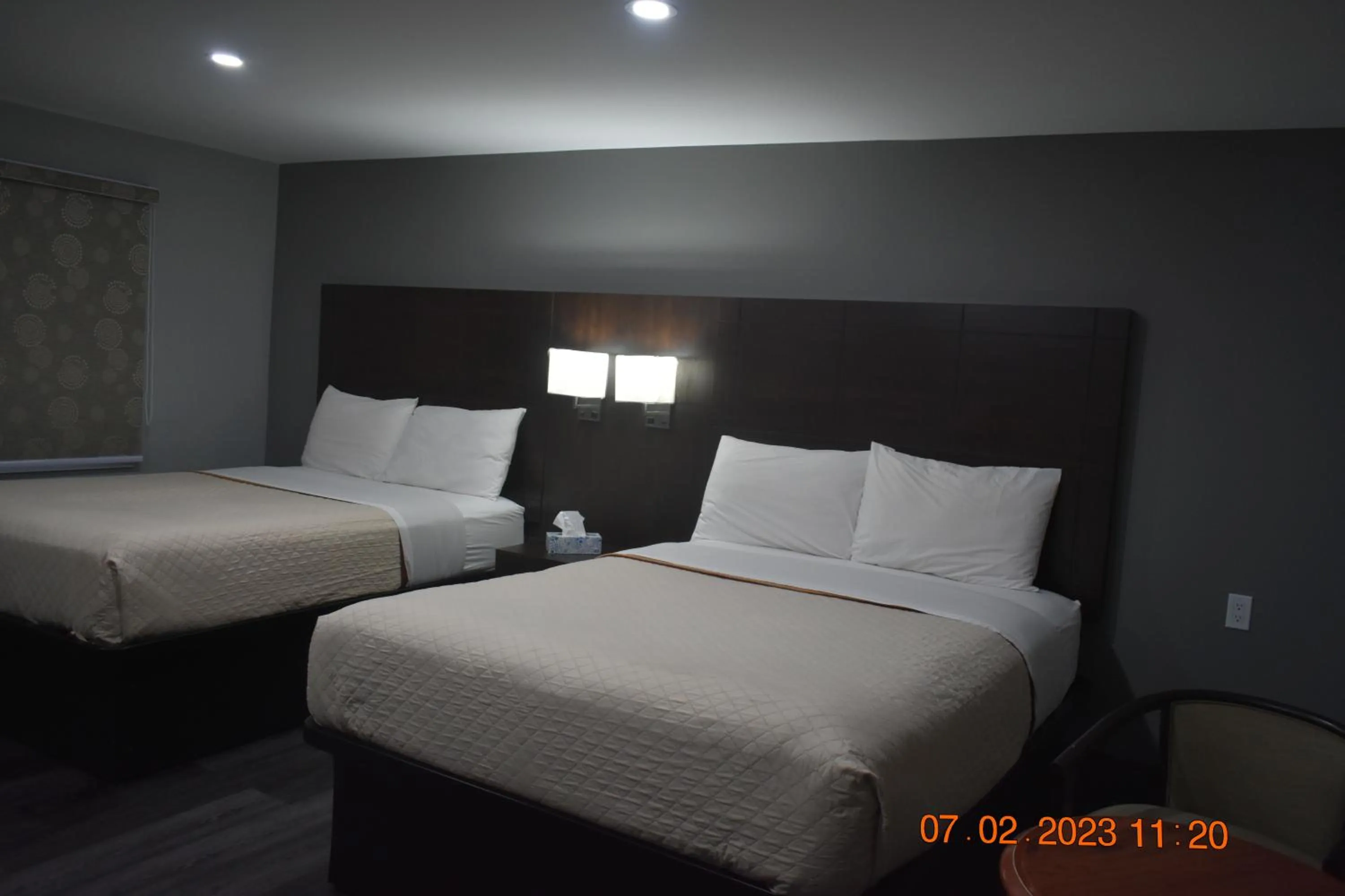 Bed in Time Travellers Motel