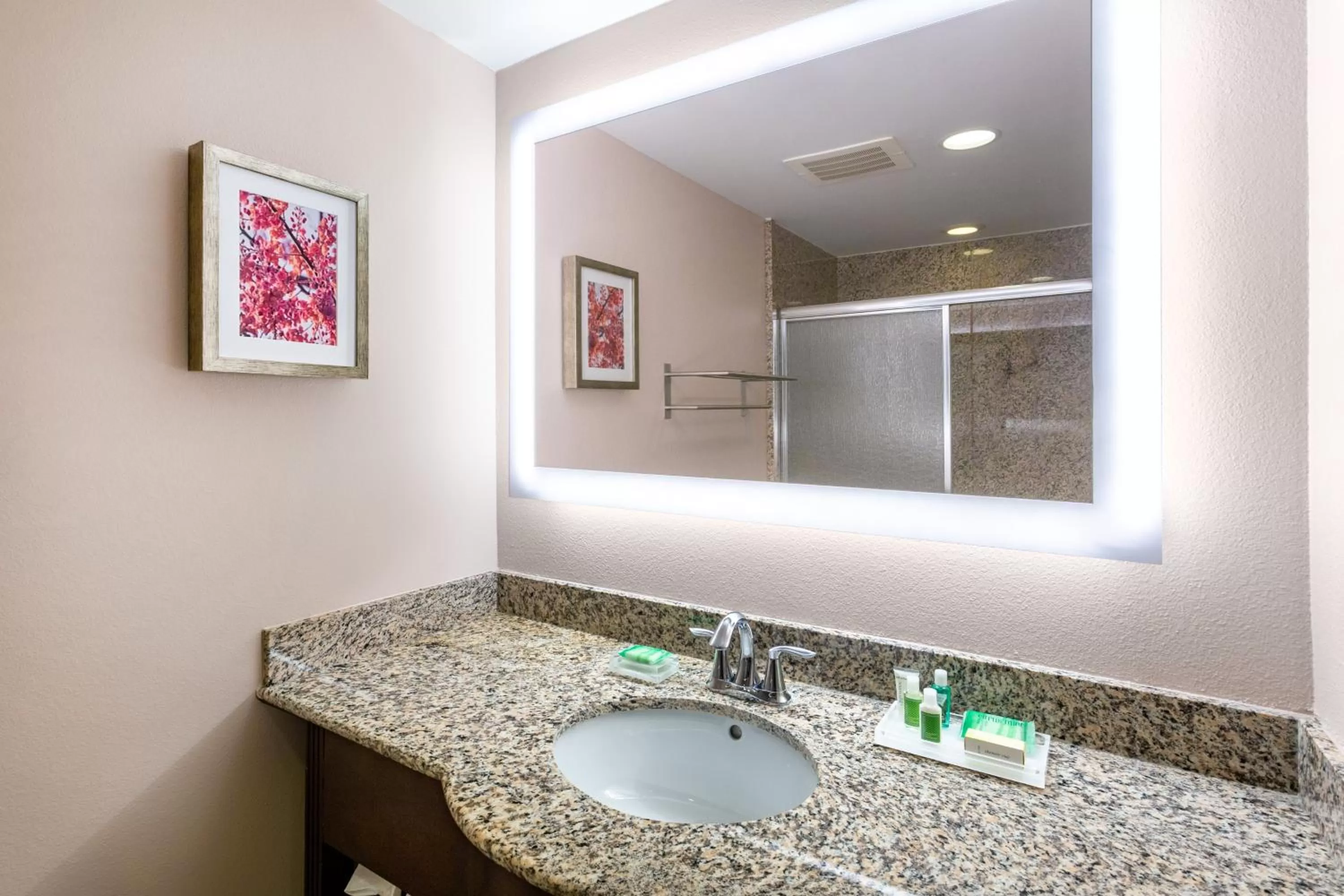 Bathroom in Holiday Inn Winter Haven by IHG