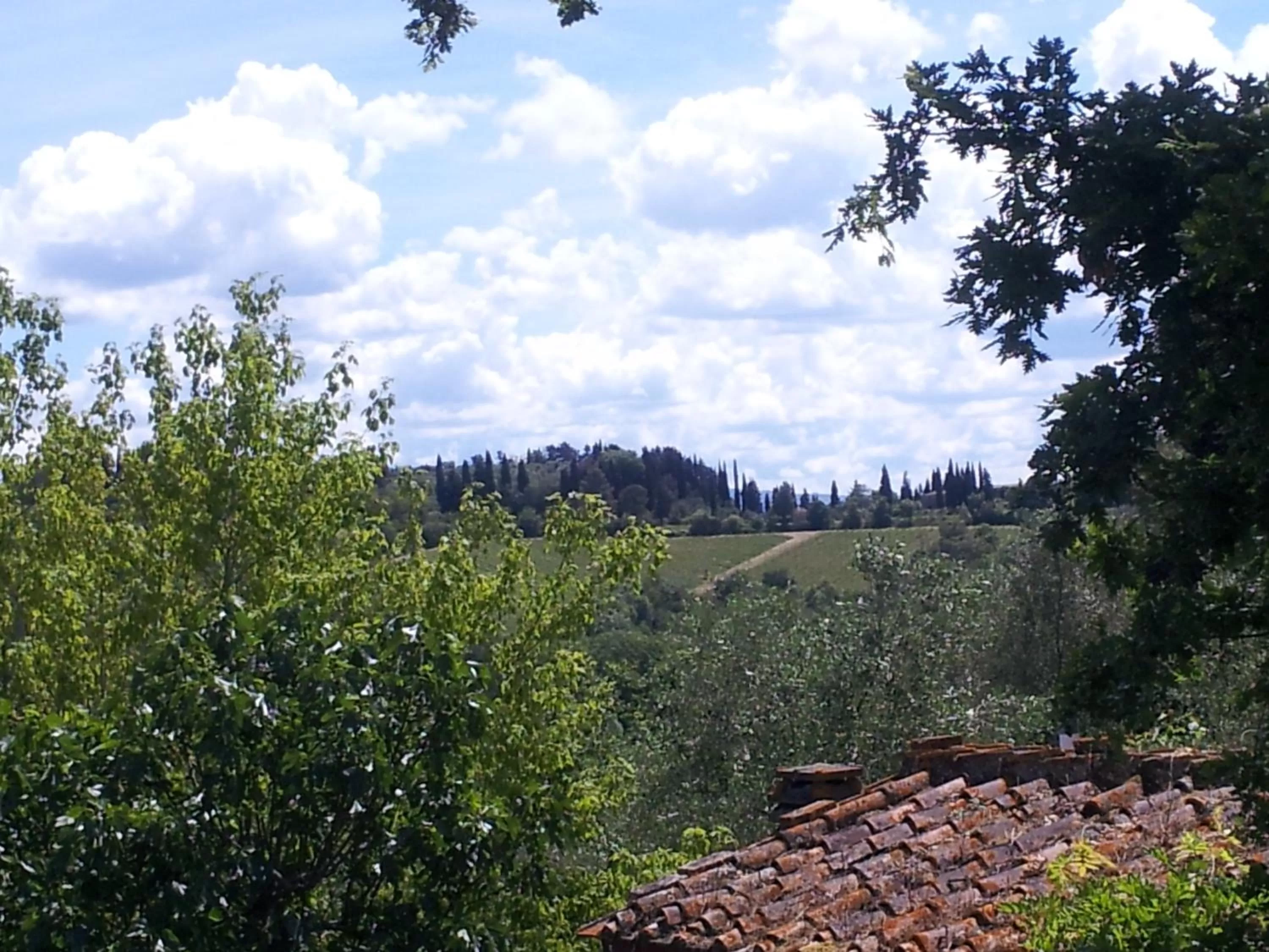 Natural landscape in A Casa di Lizzy B&B