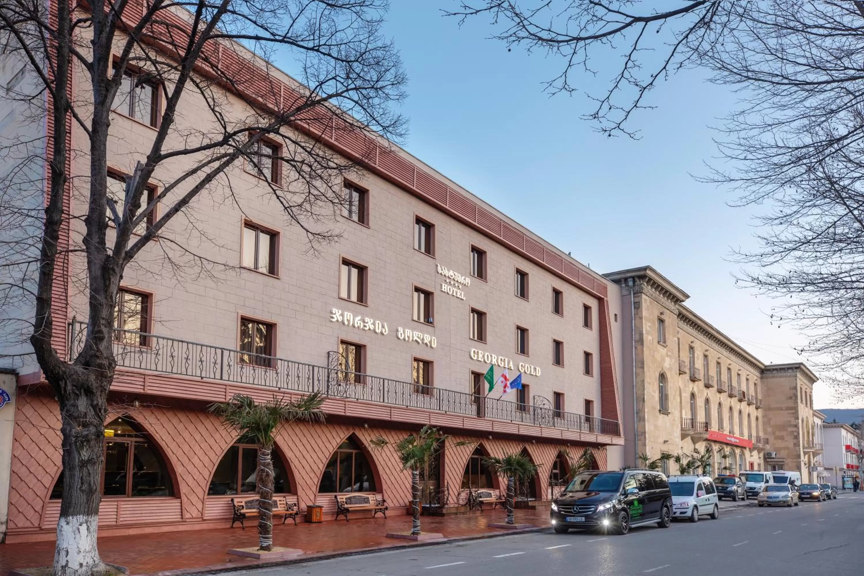 Property building in Georgia Gold