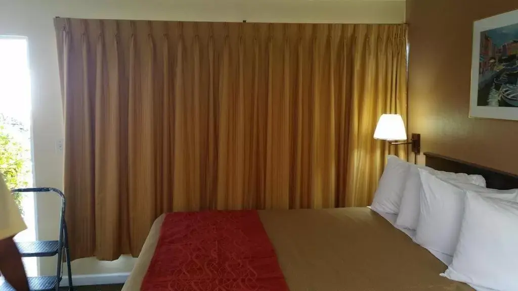 The Palms On Ocean The Palms On Ocean