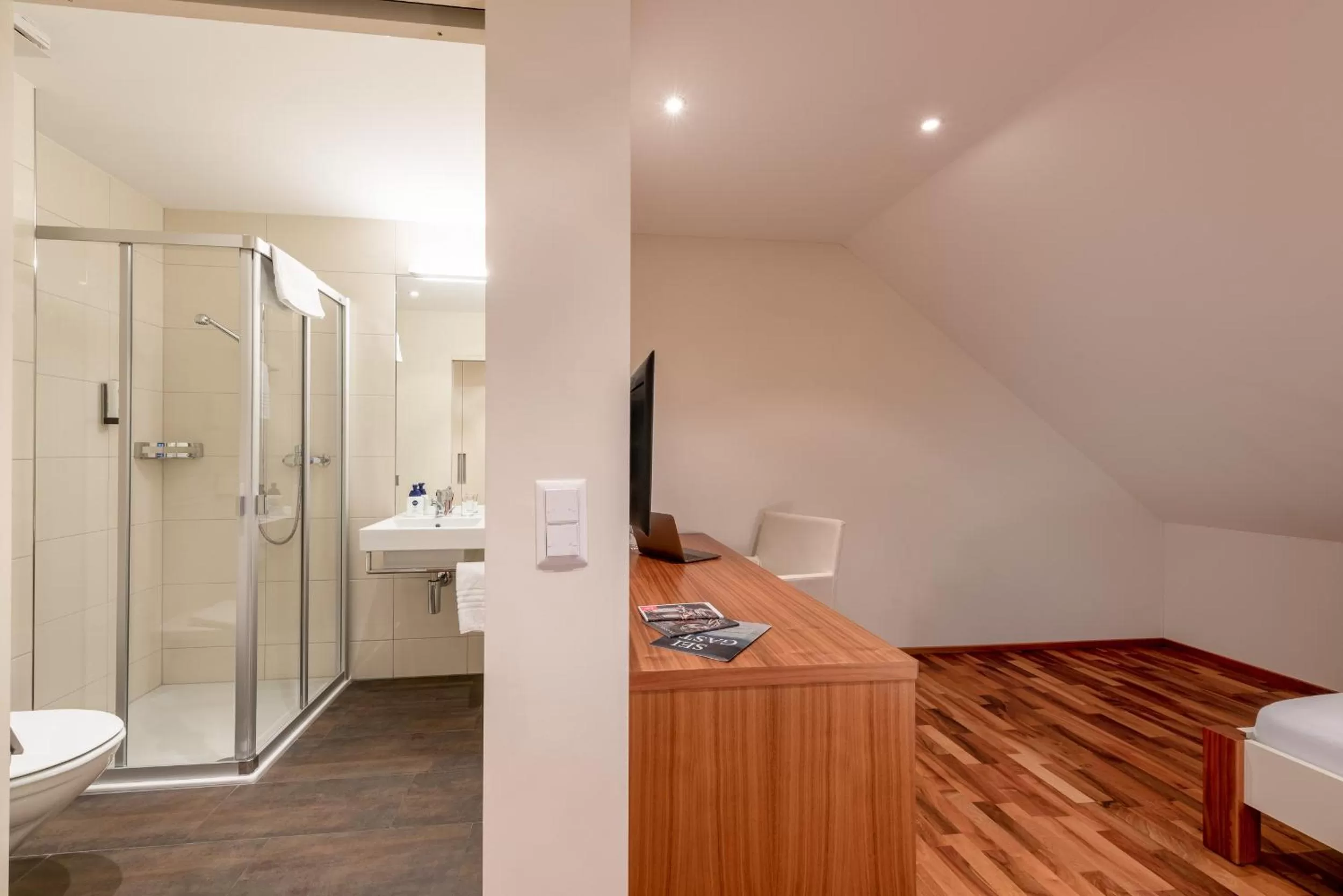 Shower in Hotel Rössli