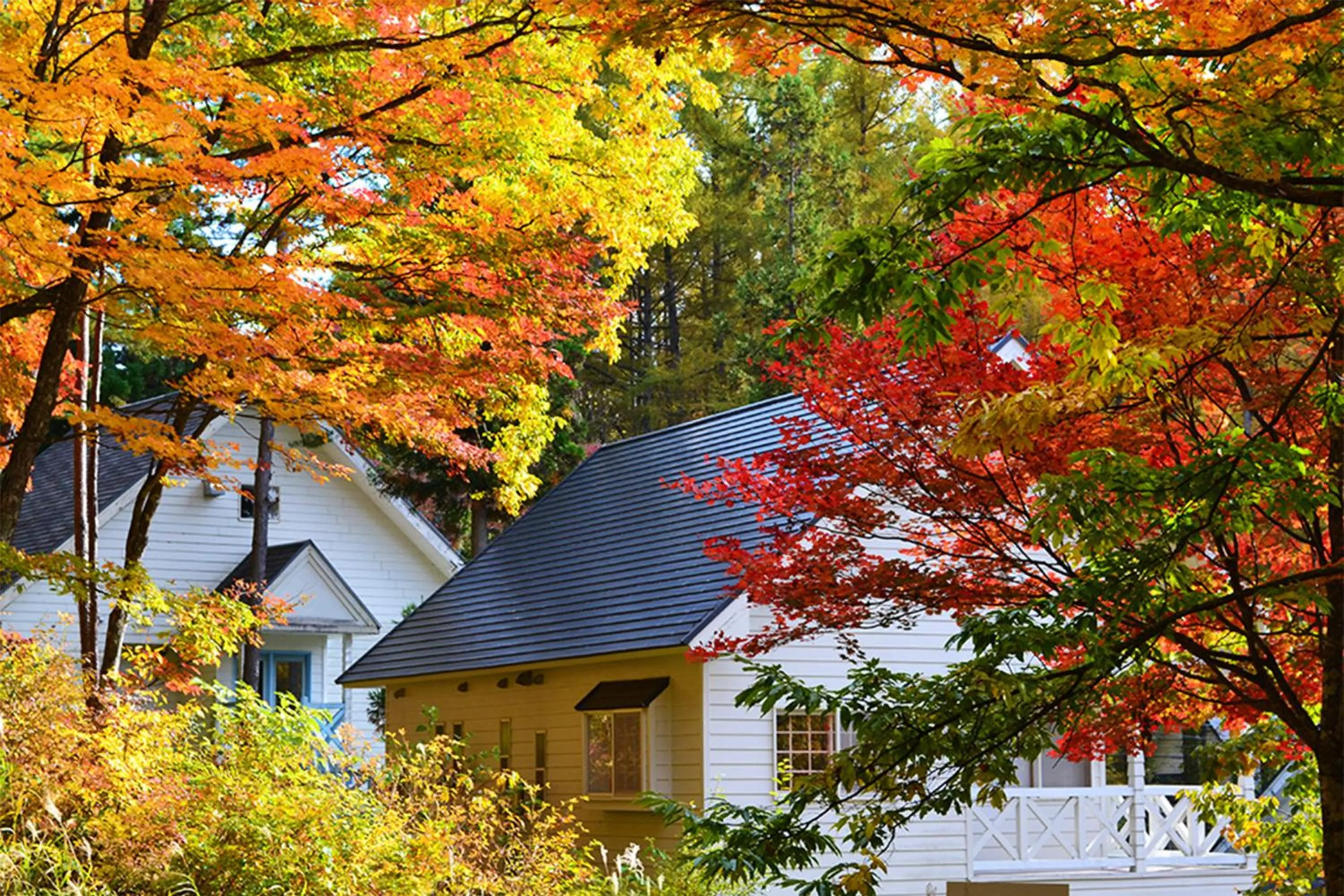 Facade/entrance in Resort Villa Takayama