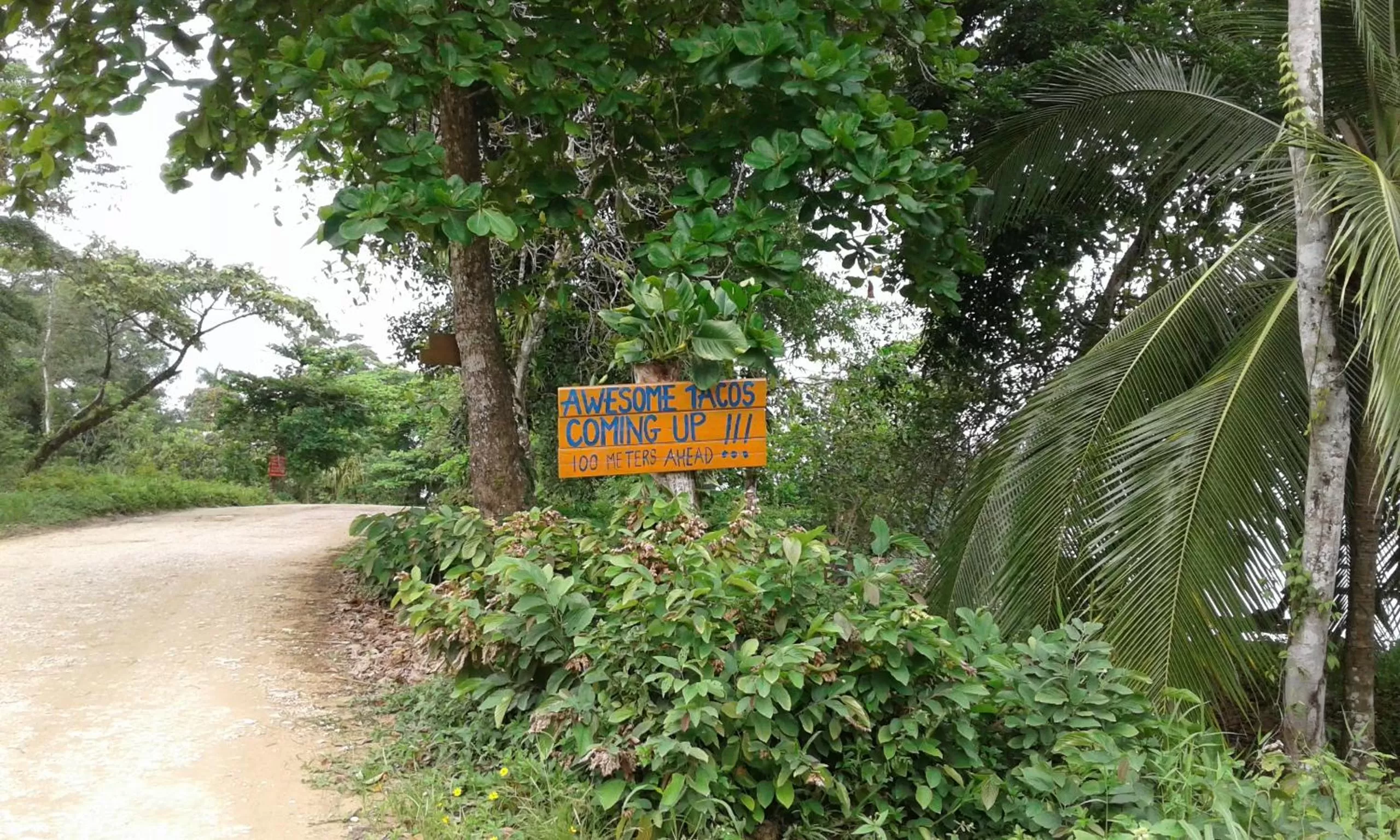 Off site in Surf Break at Paunch