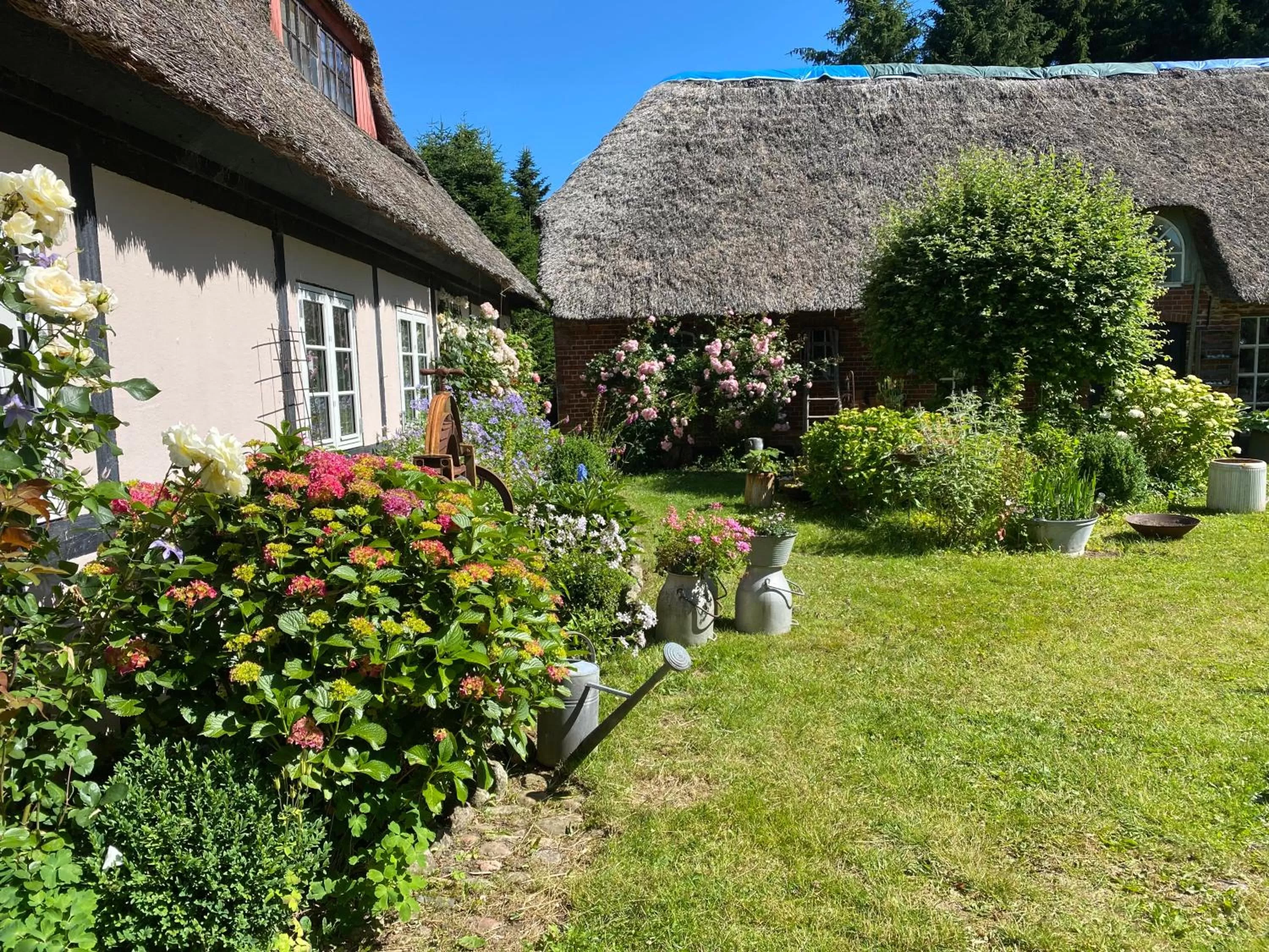 Garden in Heddahgaarden