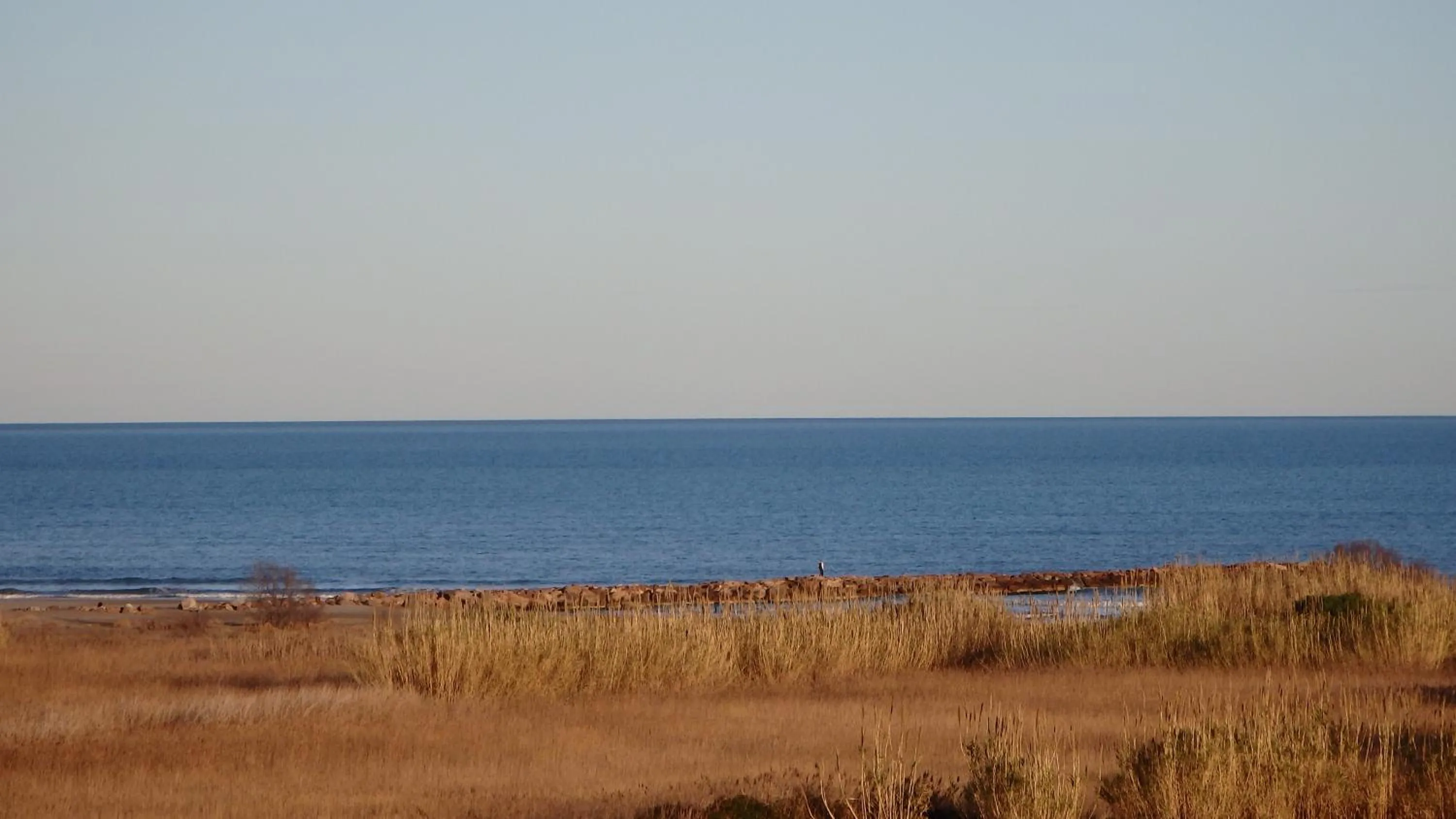 Beach in Flag Hotel Valencia