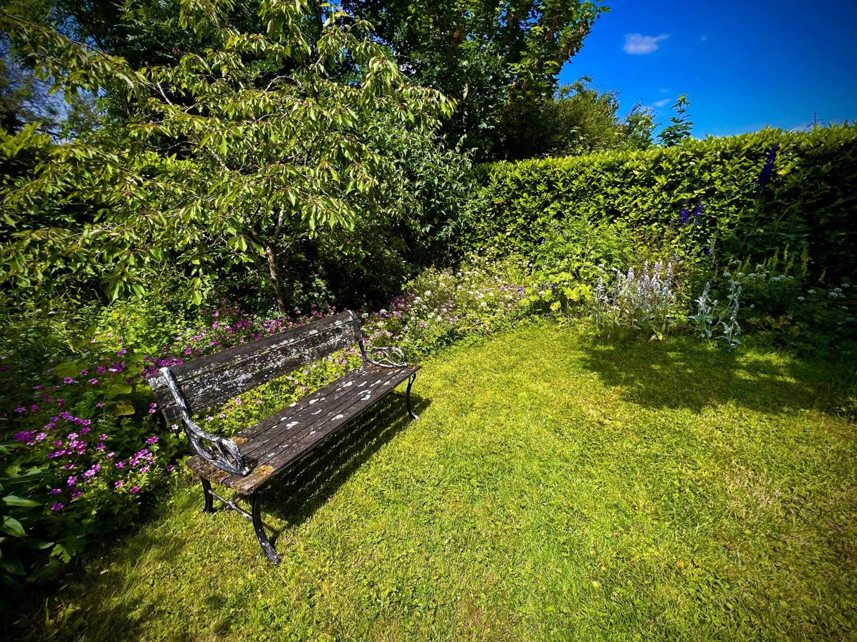 Garden in Home Farm Bed & Breakfast