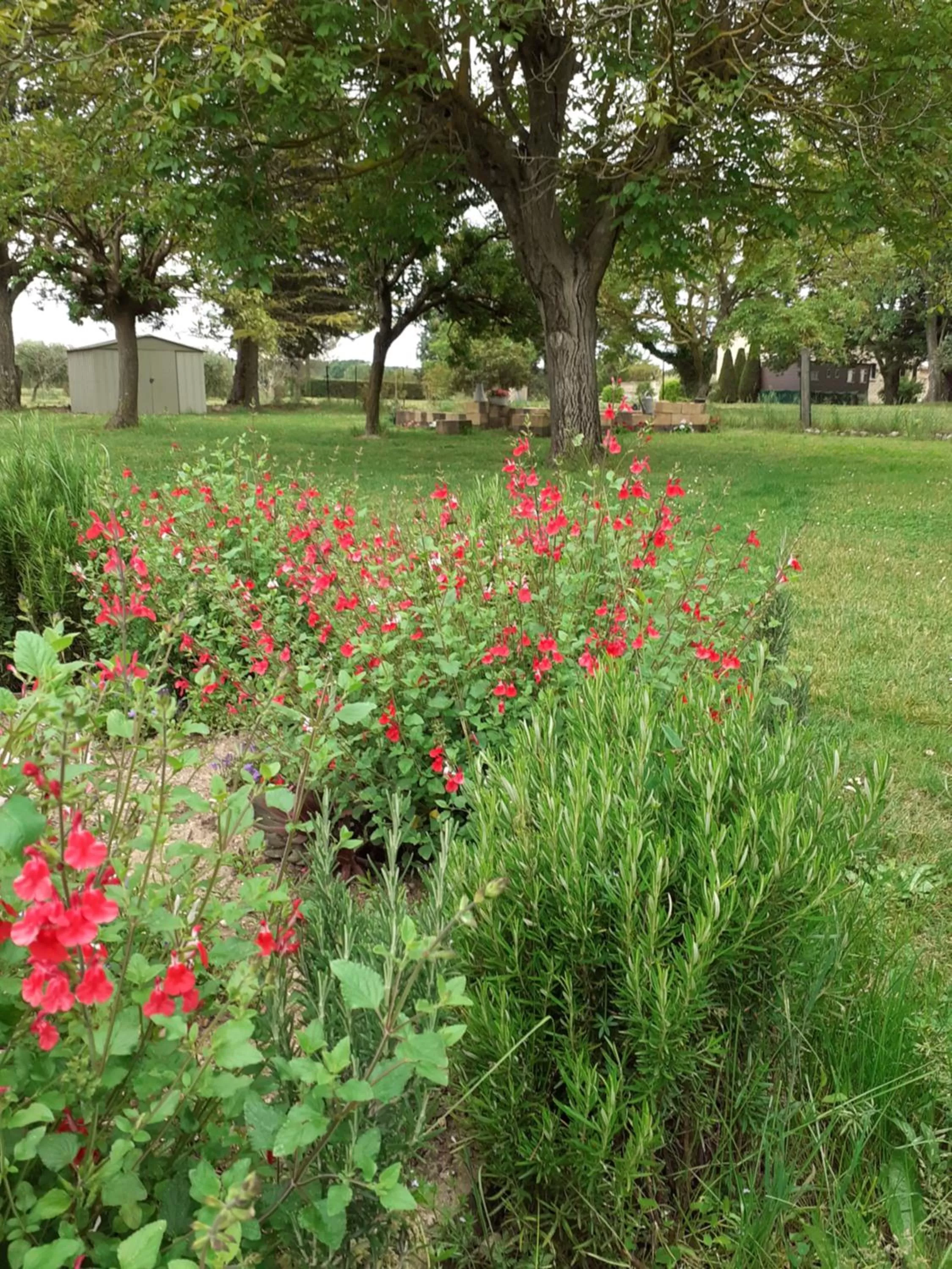 Garden in B&B et Gite d'ayran