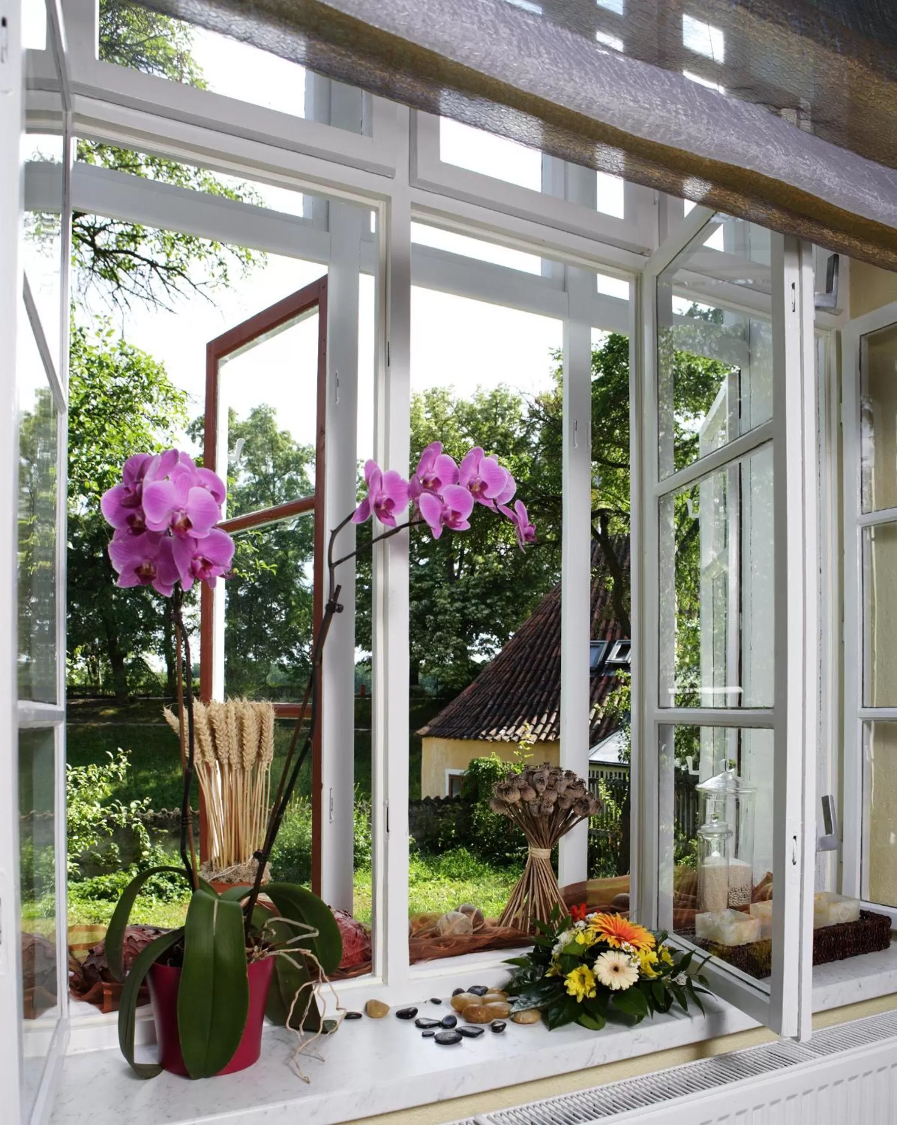 Area and facilities in Apartmány Šupina