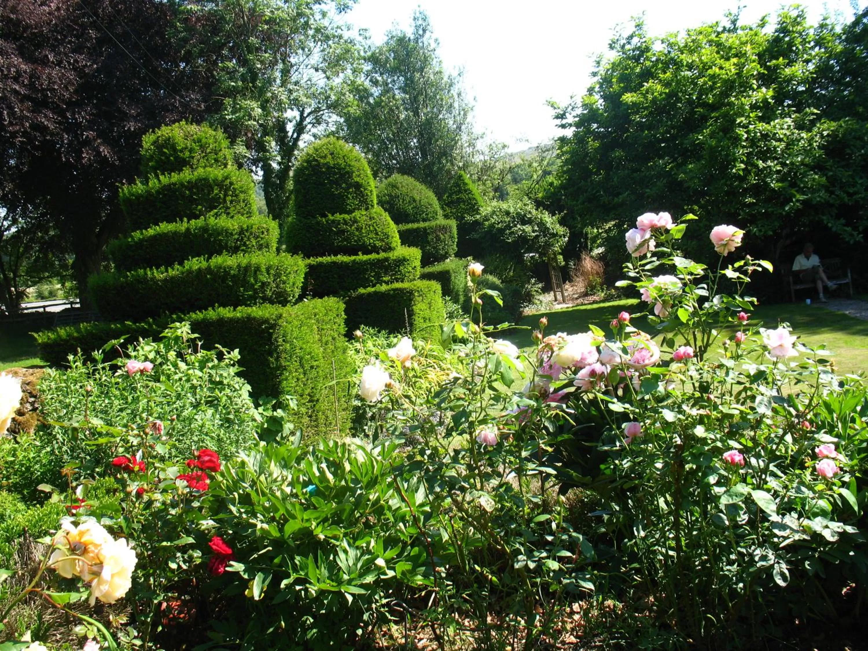 Natural landscape, Garden in The Hill
